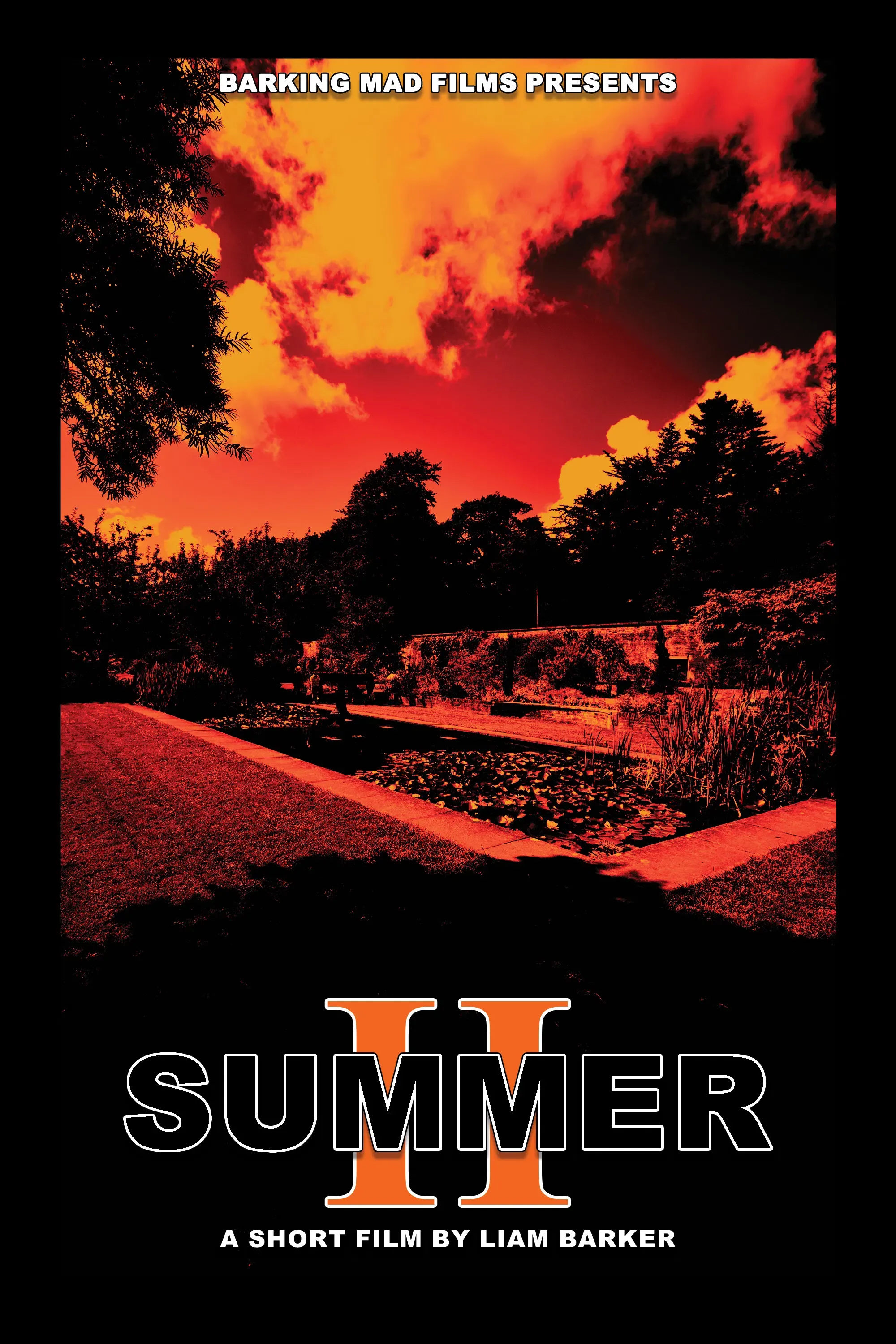 Poster of the movie SUMMER II