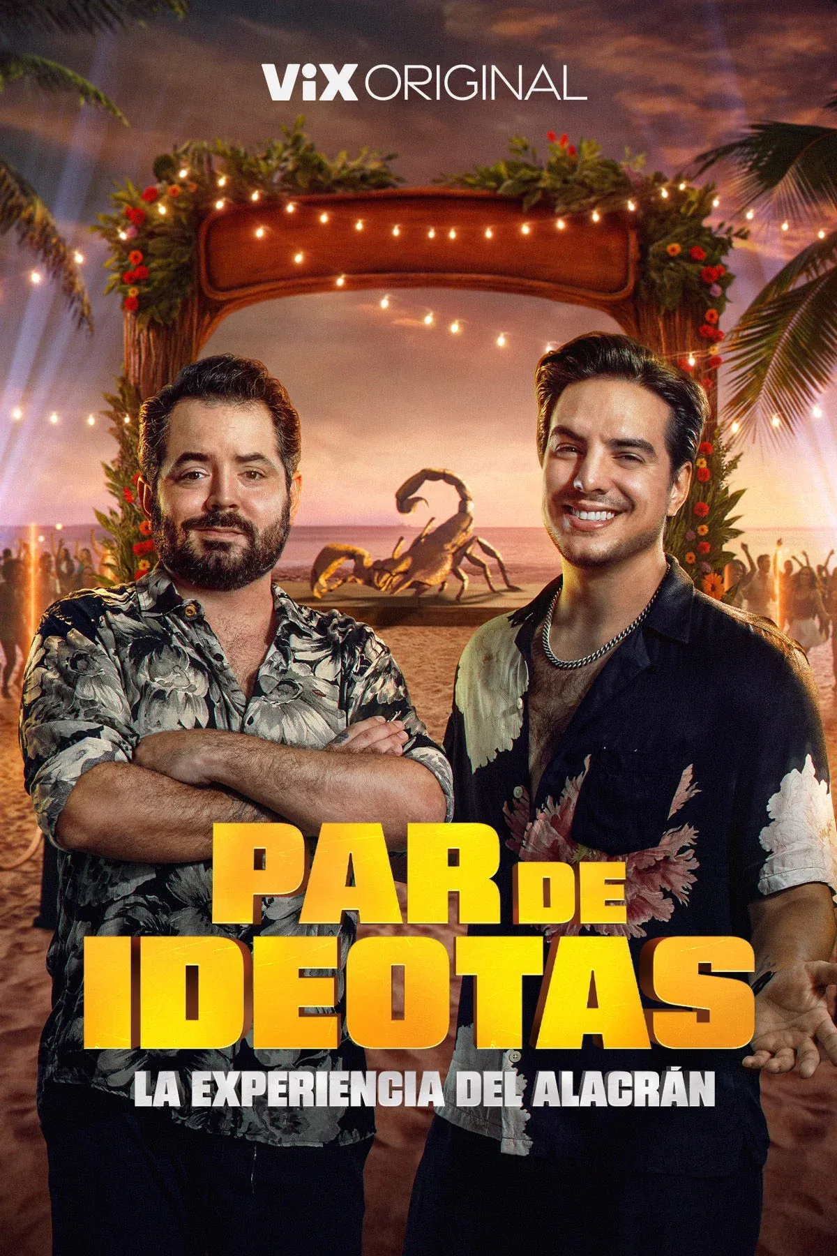 Poster of Par de ideotas