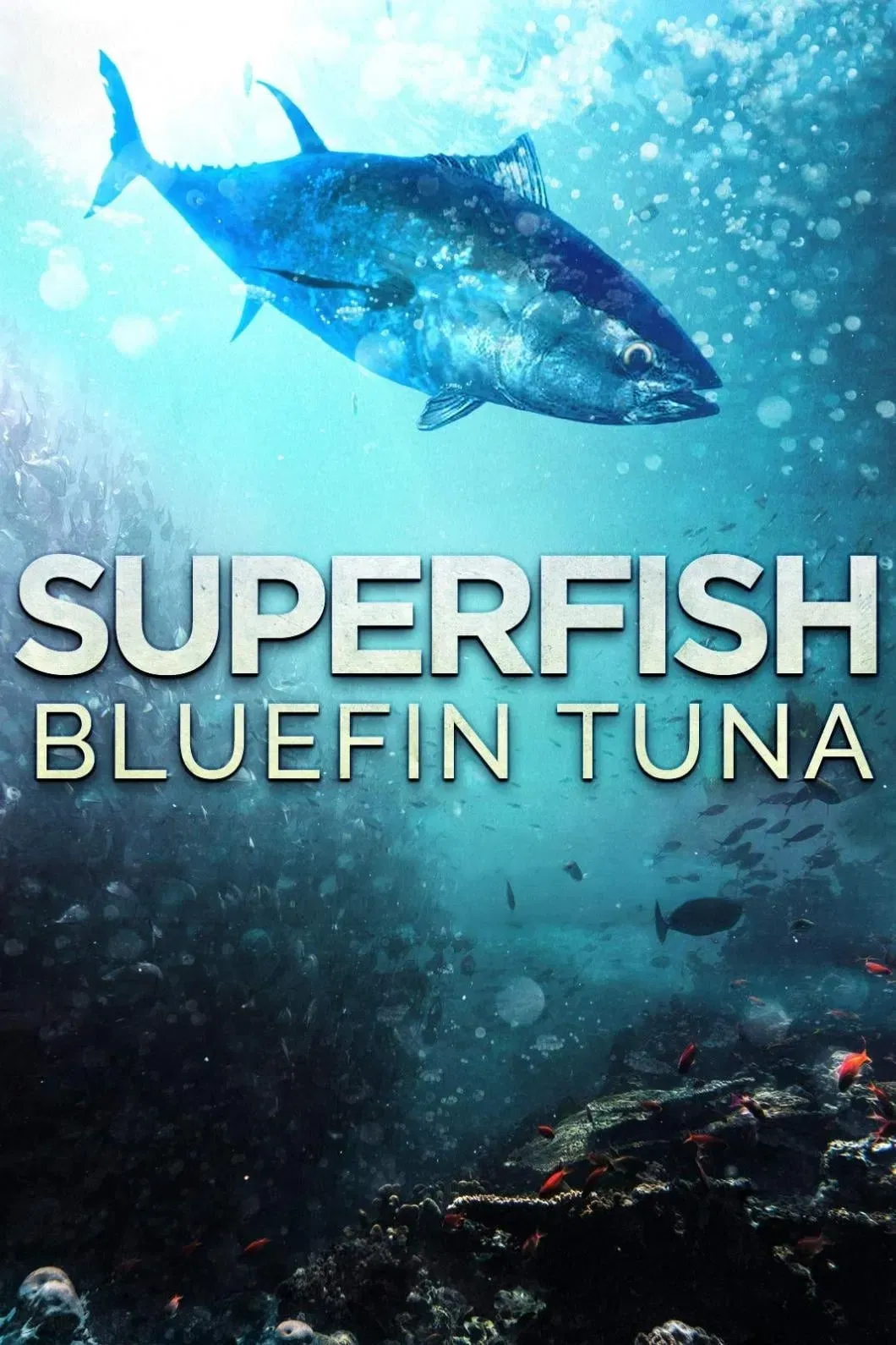 Poster of the movie Superfish: Bluefin Tuna