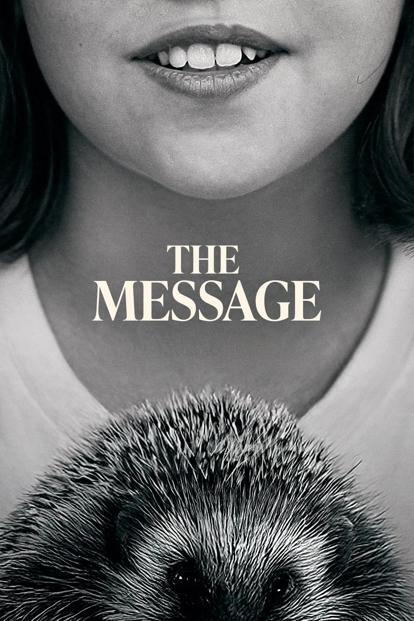 Poster of the movie The Message