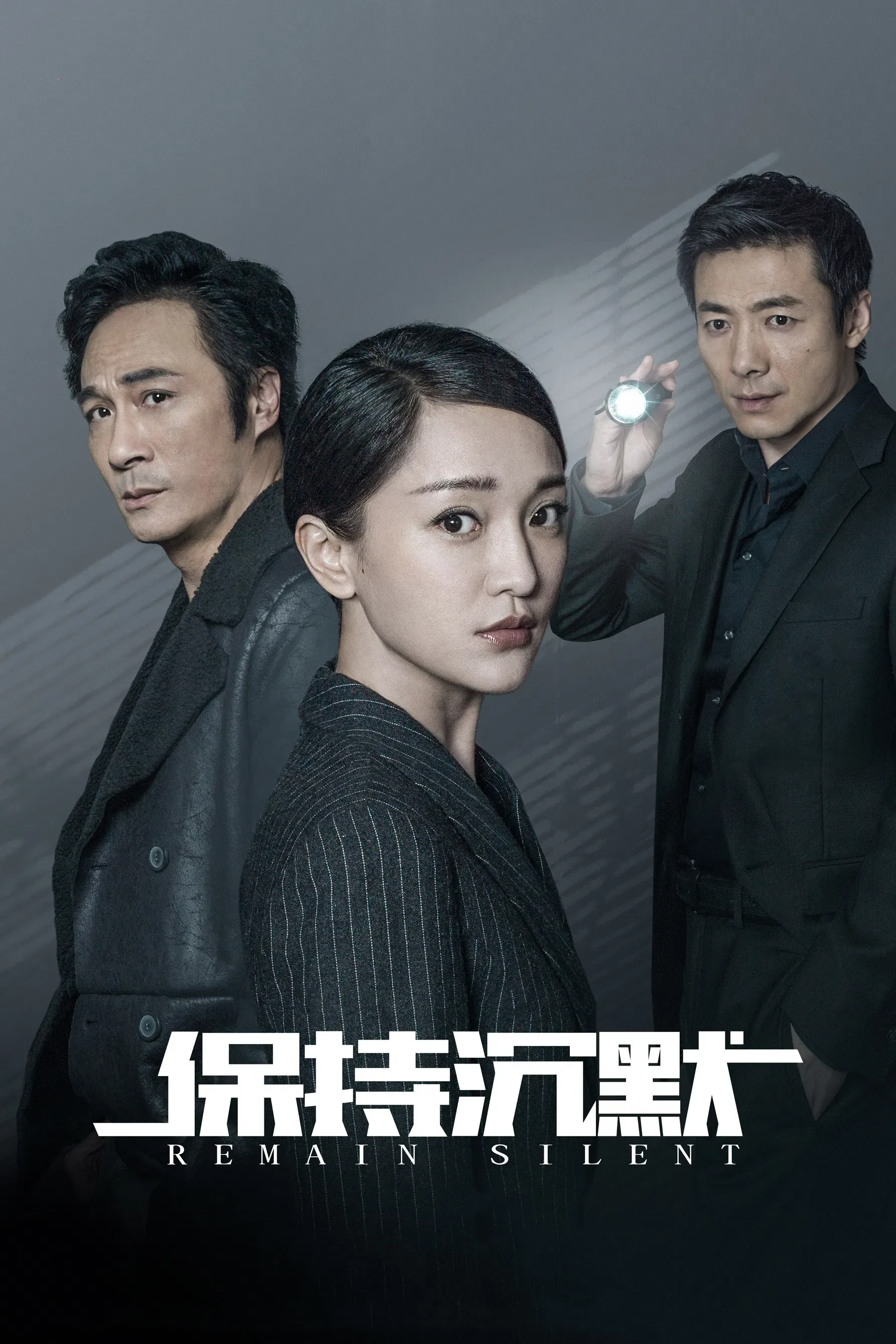 Poster of the movie Remain Silent