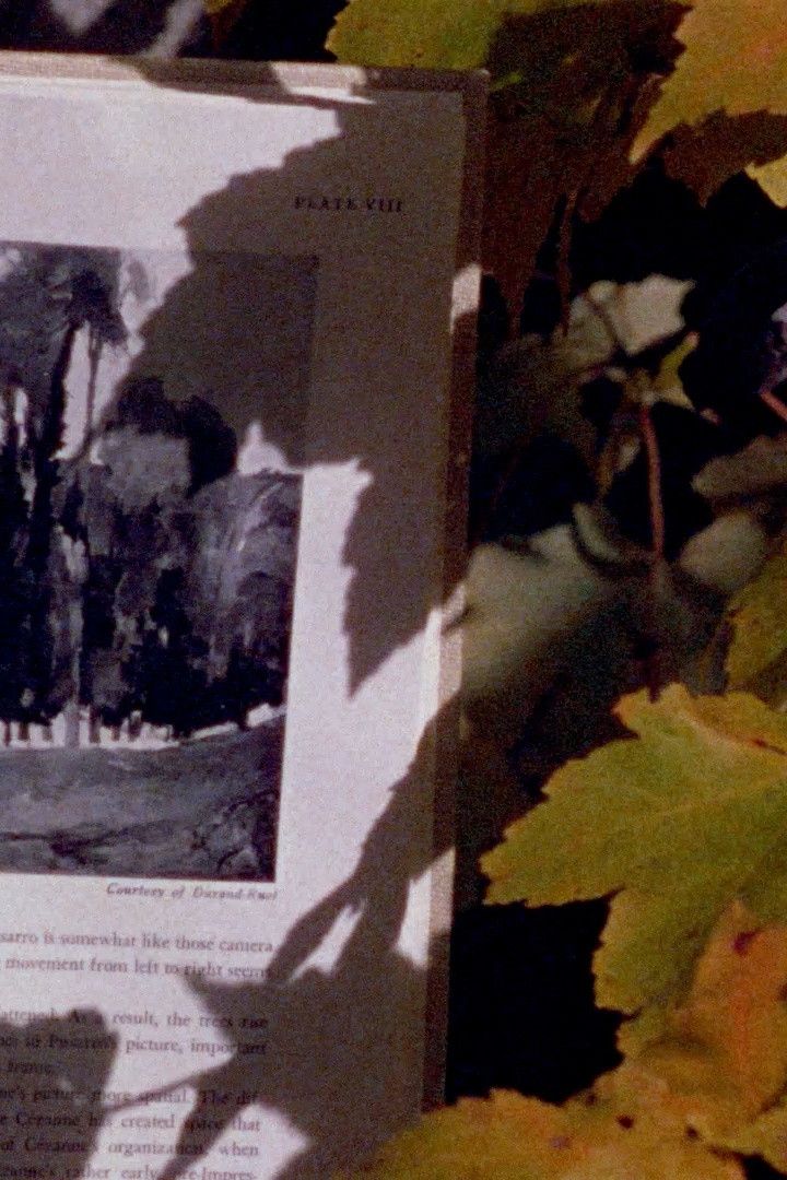 Poster of the movie Four Shadows