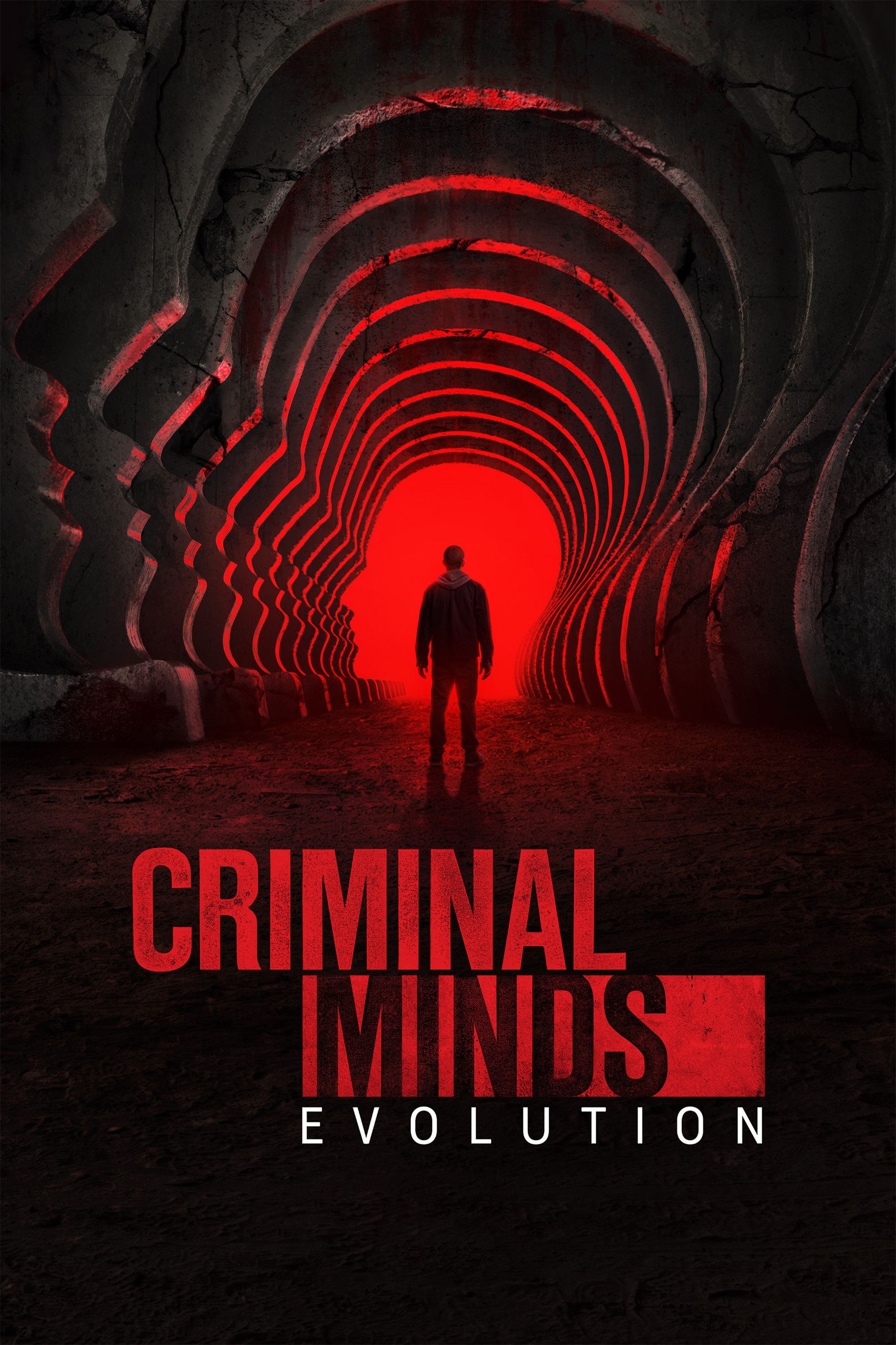 Poster of Criminal Minds
