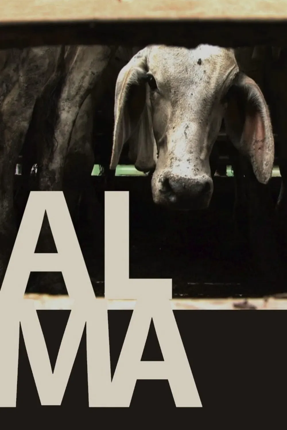 Poster of the movie Alma