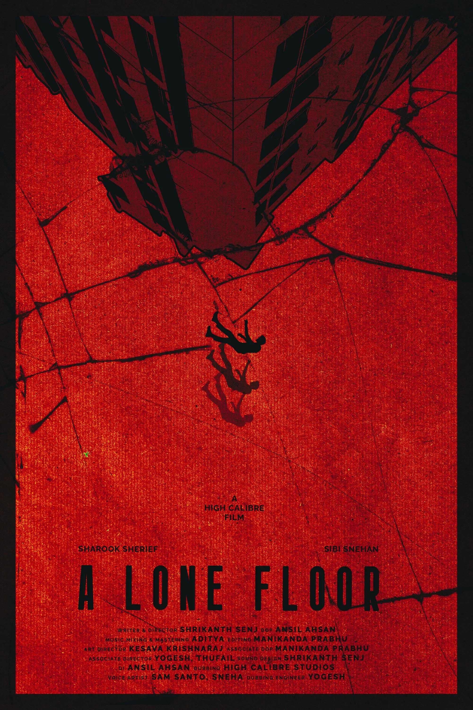 Poster of the movie A Lone Floor