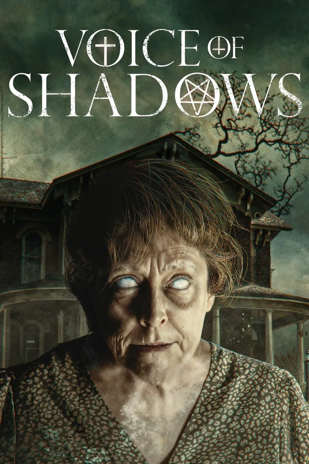 Poster for Voice of Shadows