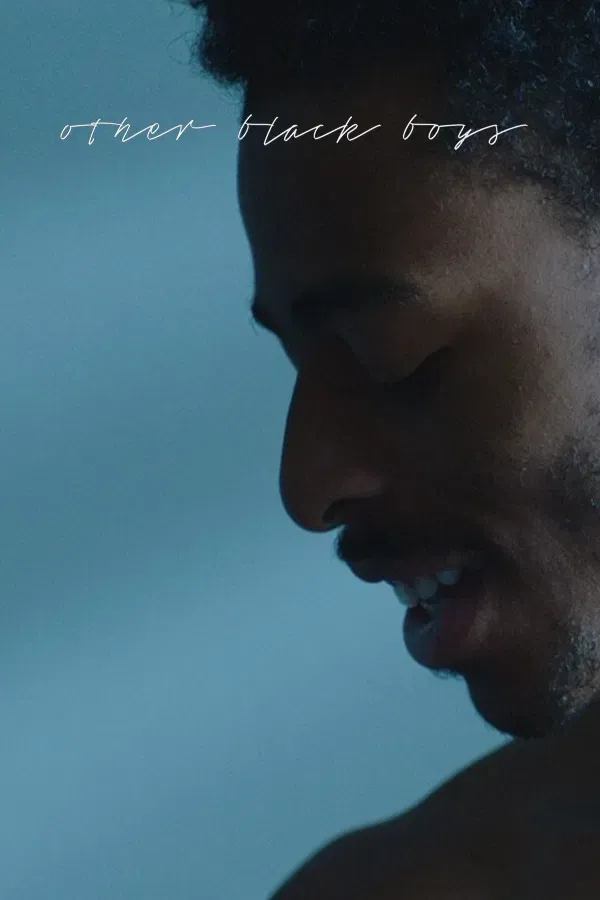 Poster of the movie Other Black Boys