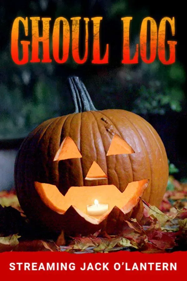 Poster of the movie The Ghoul Log