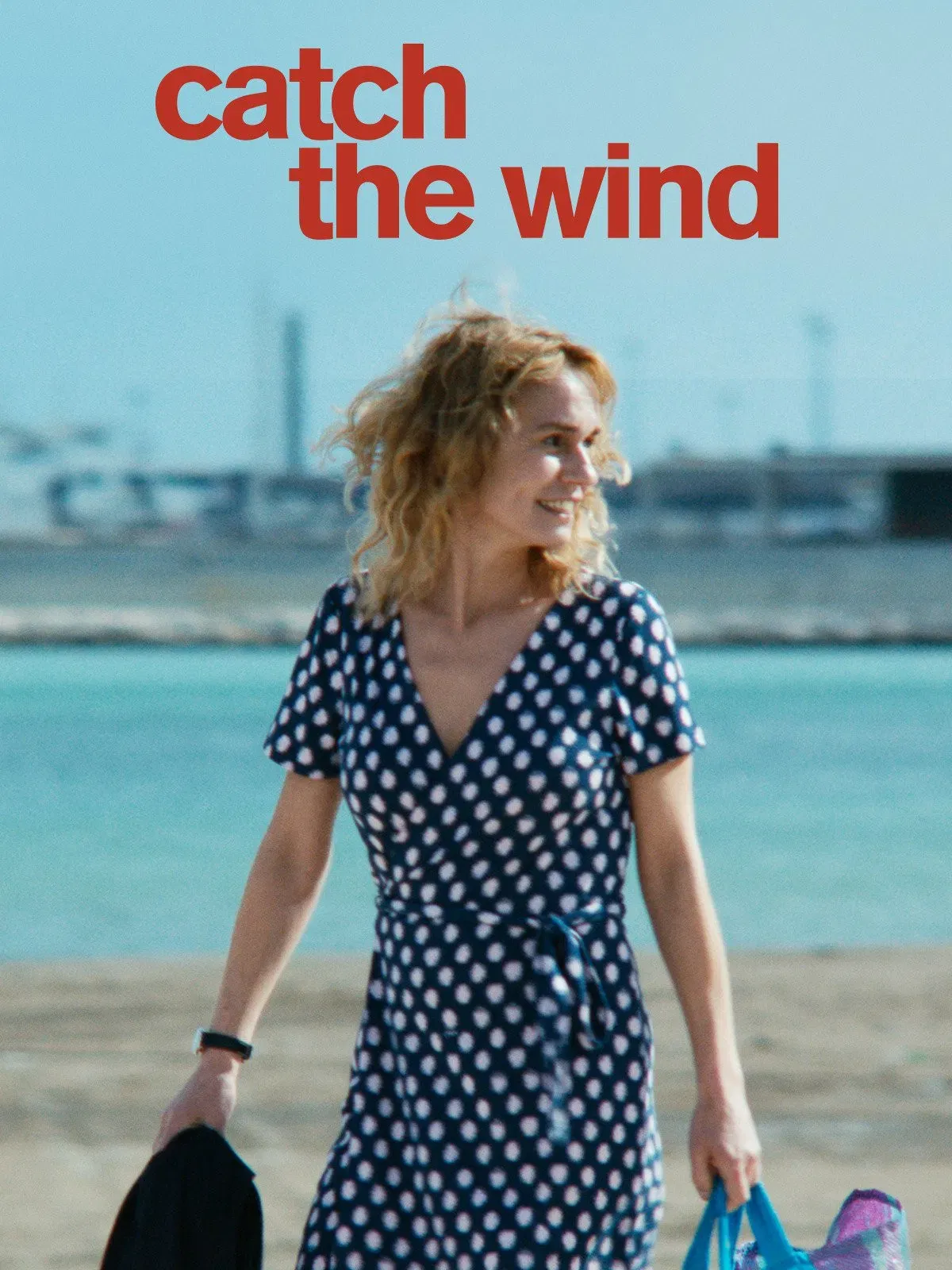 Poster of the movie Catch the Wind