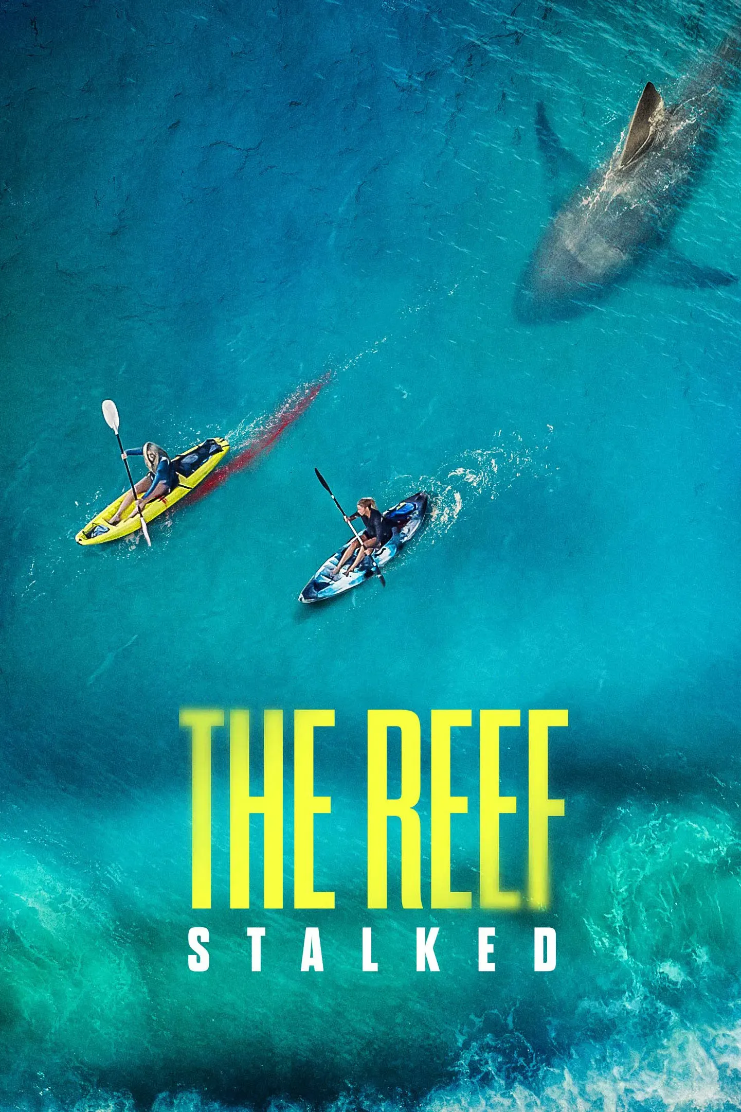 Poster of the movie The Reef: Stalked