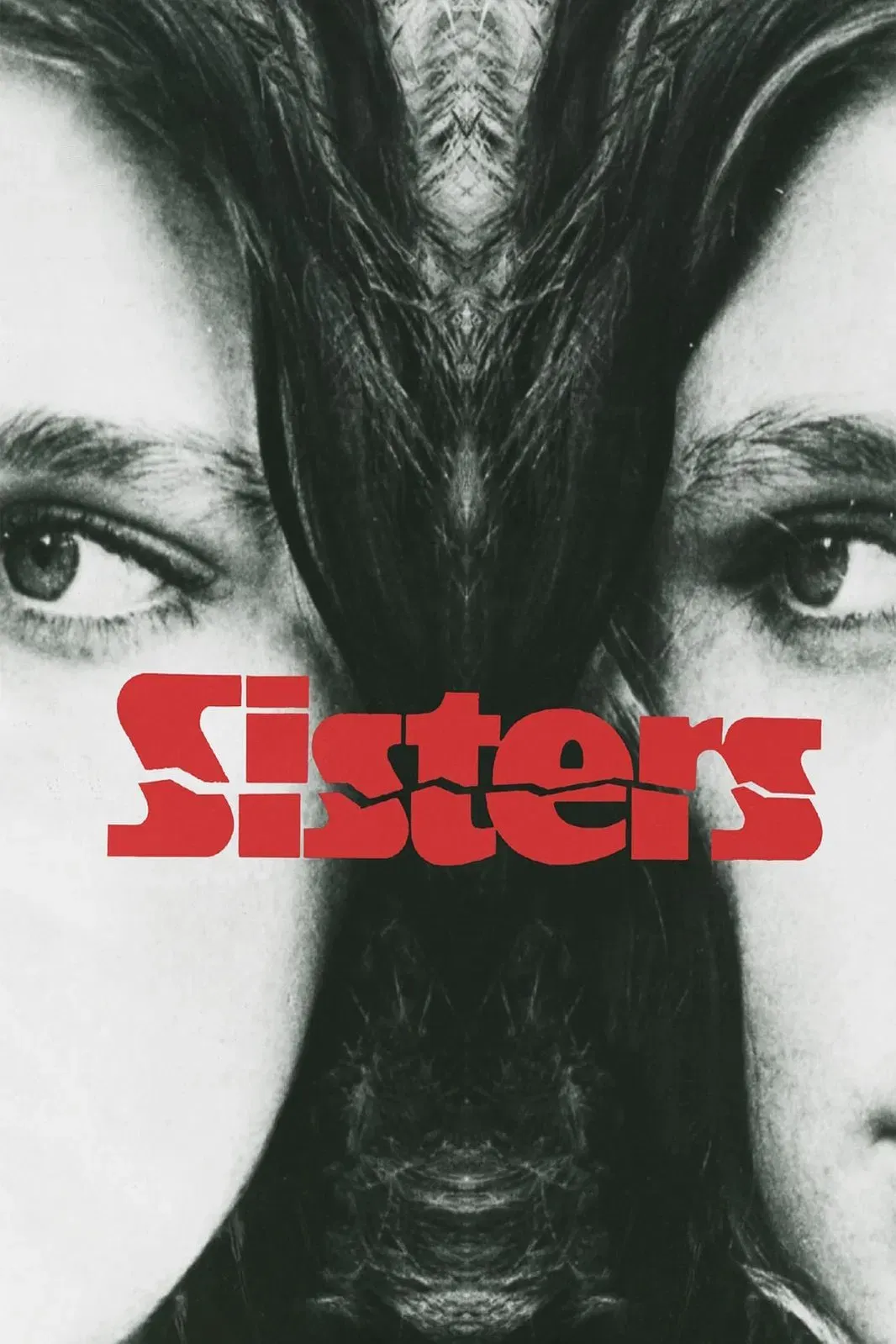 Poster of the movie Sisters