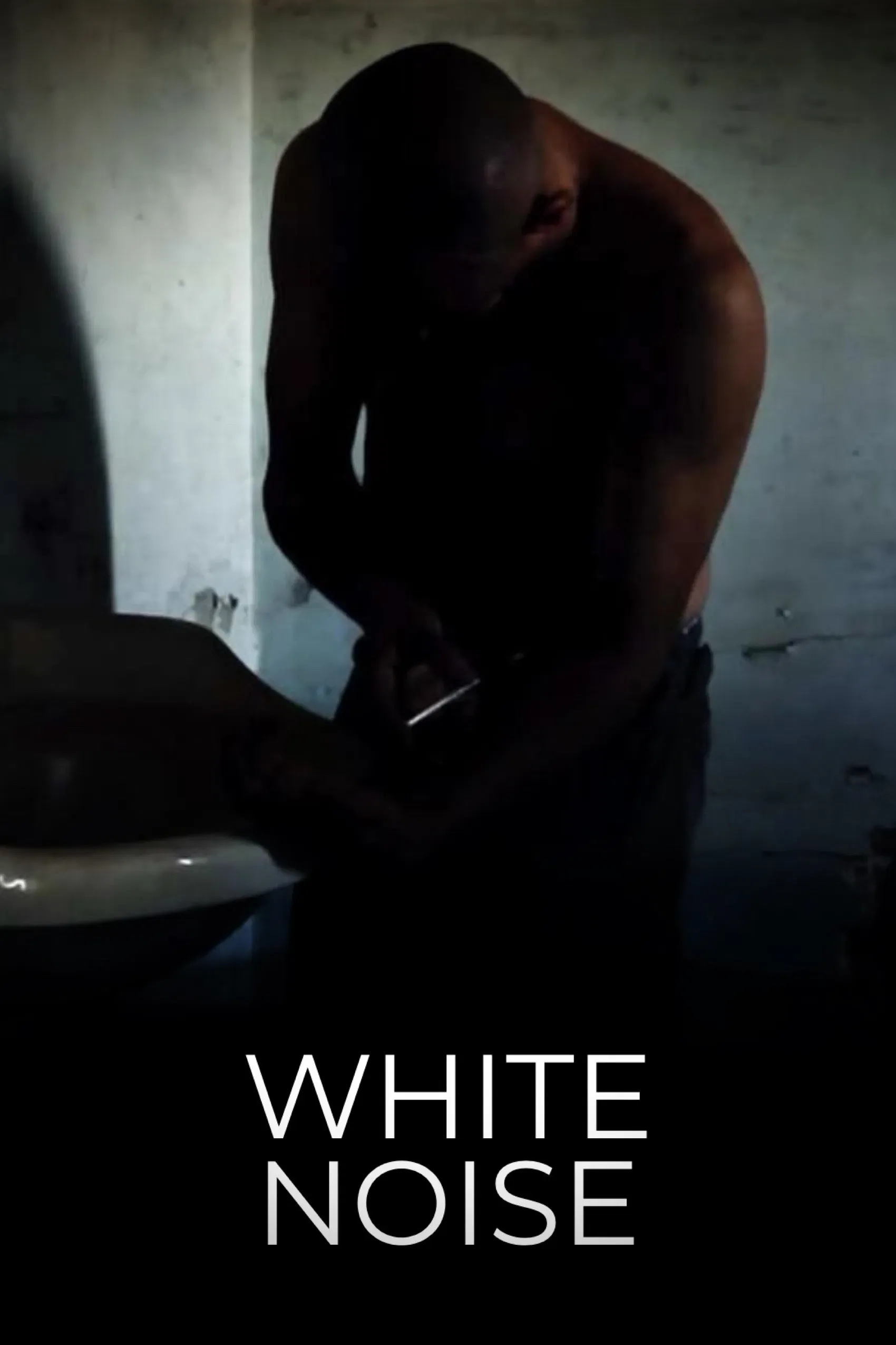 Poster of the movie White Noise