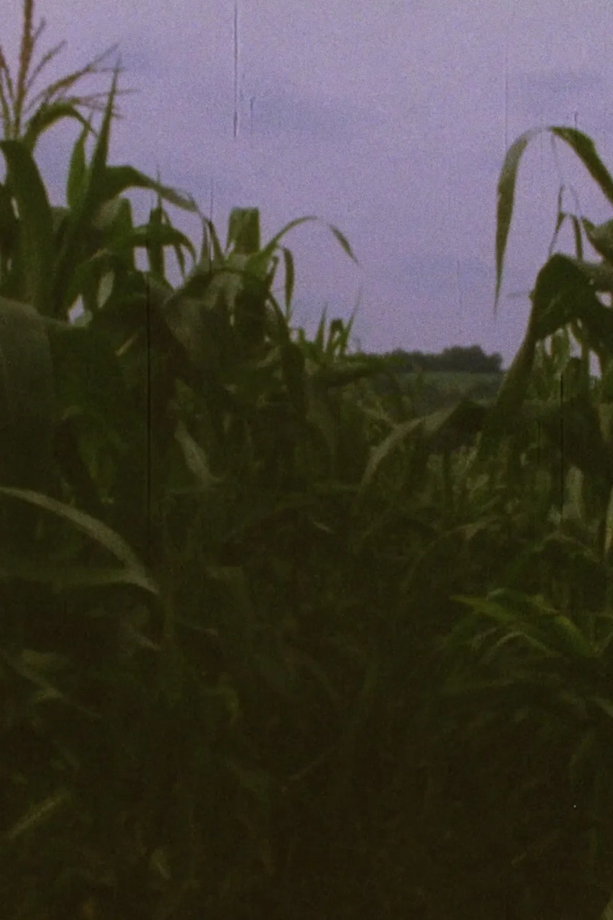 Poster of the movie Pan 3