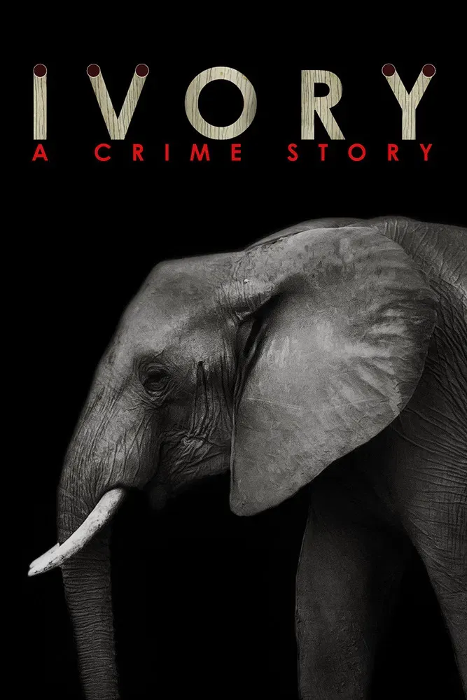 Poster of the movie Ivory. A Crime Story