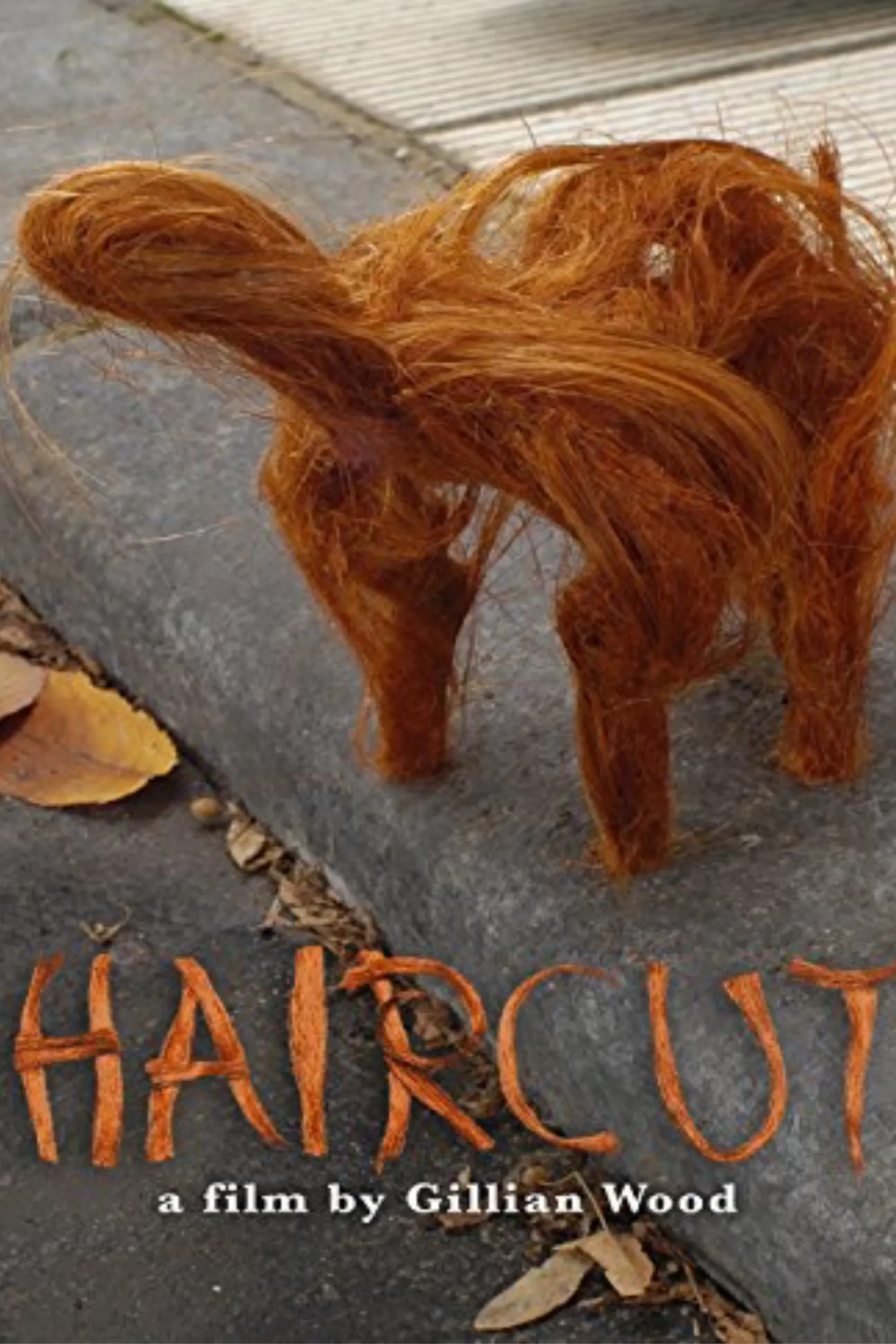 Poster of the movie Haircut