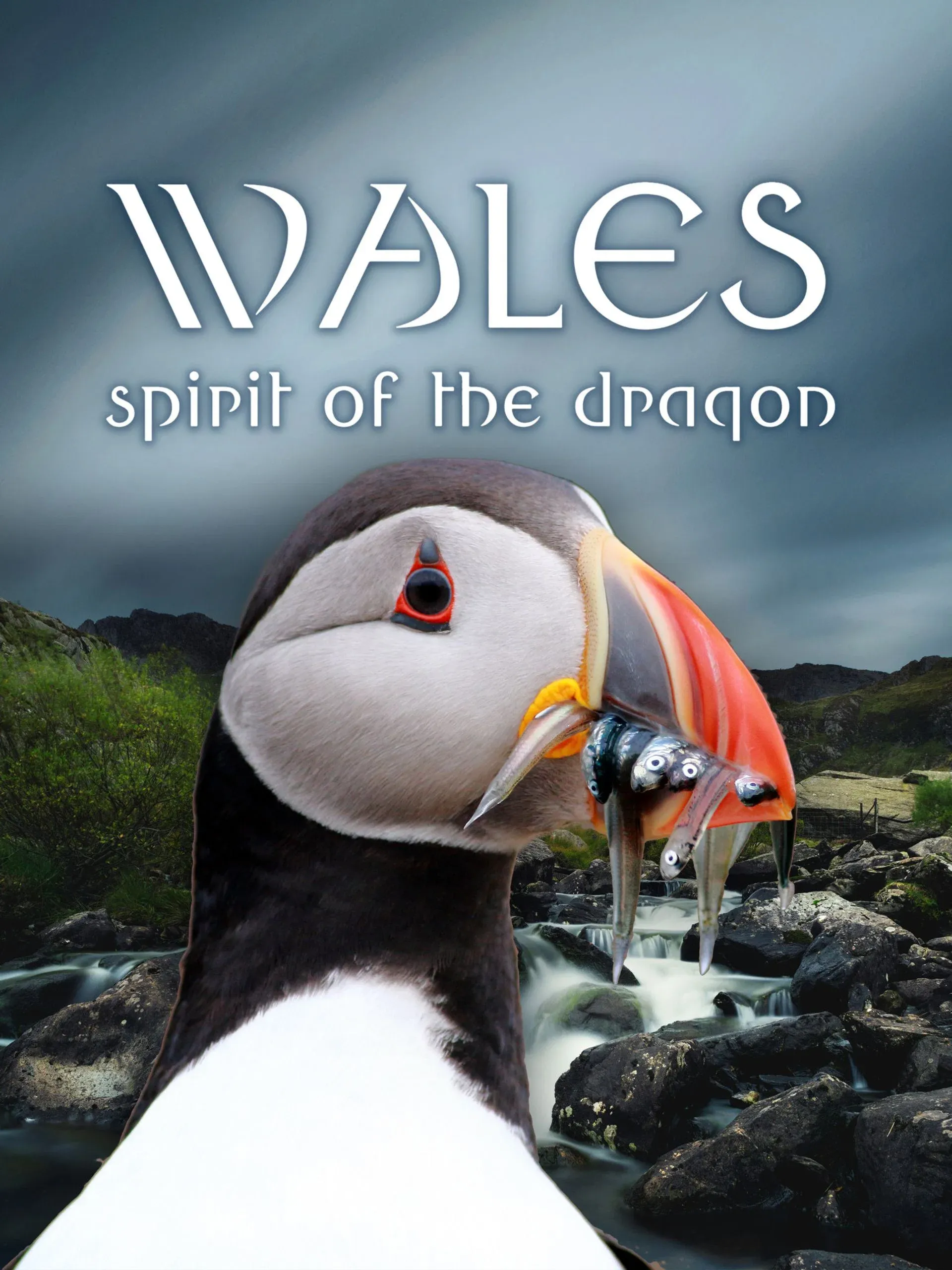 Poster for Wales: Spirit of the Dragon