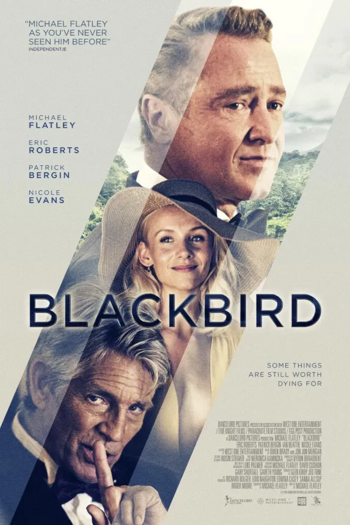 Poster of the movie Blackbird