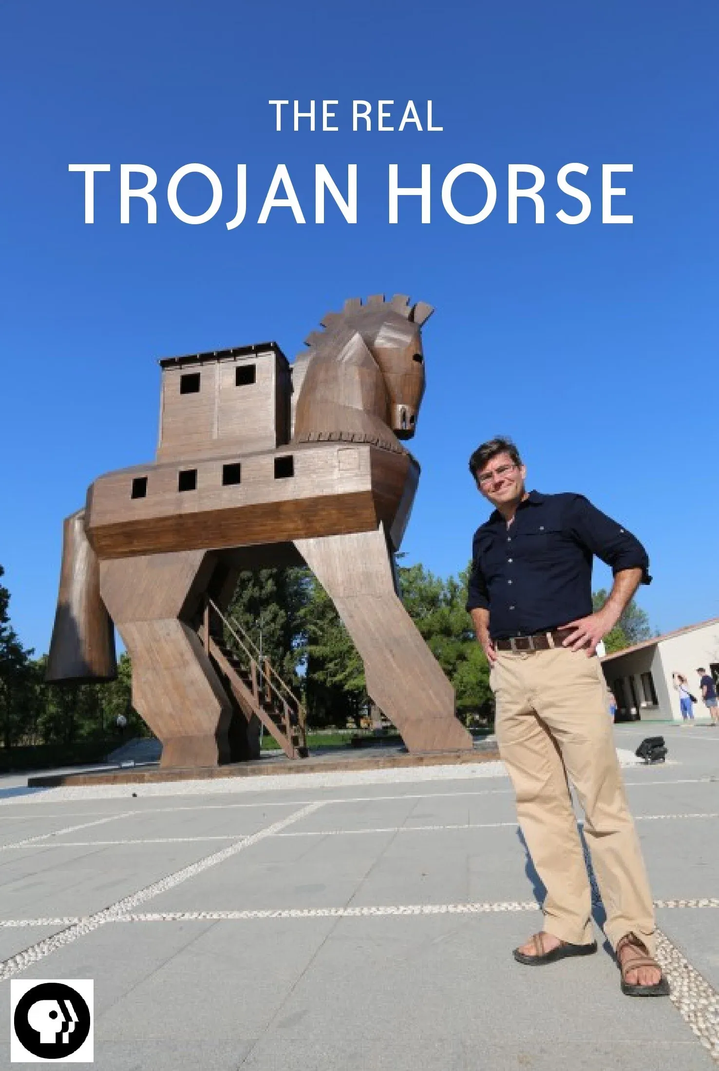 Poster for Secrets of the Dead: The Real Trojan Horse
