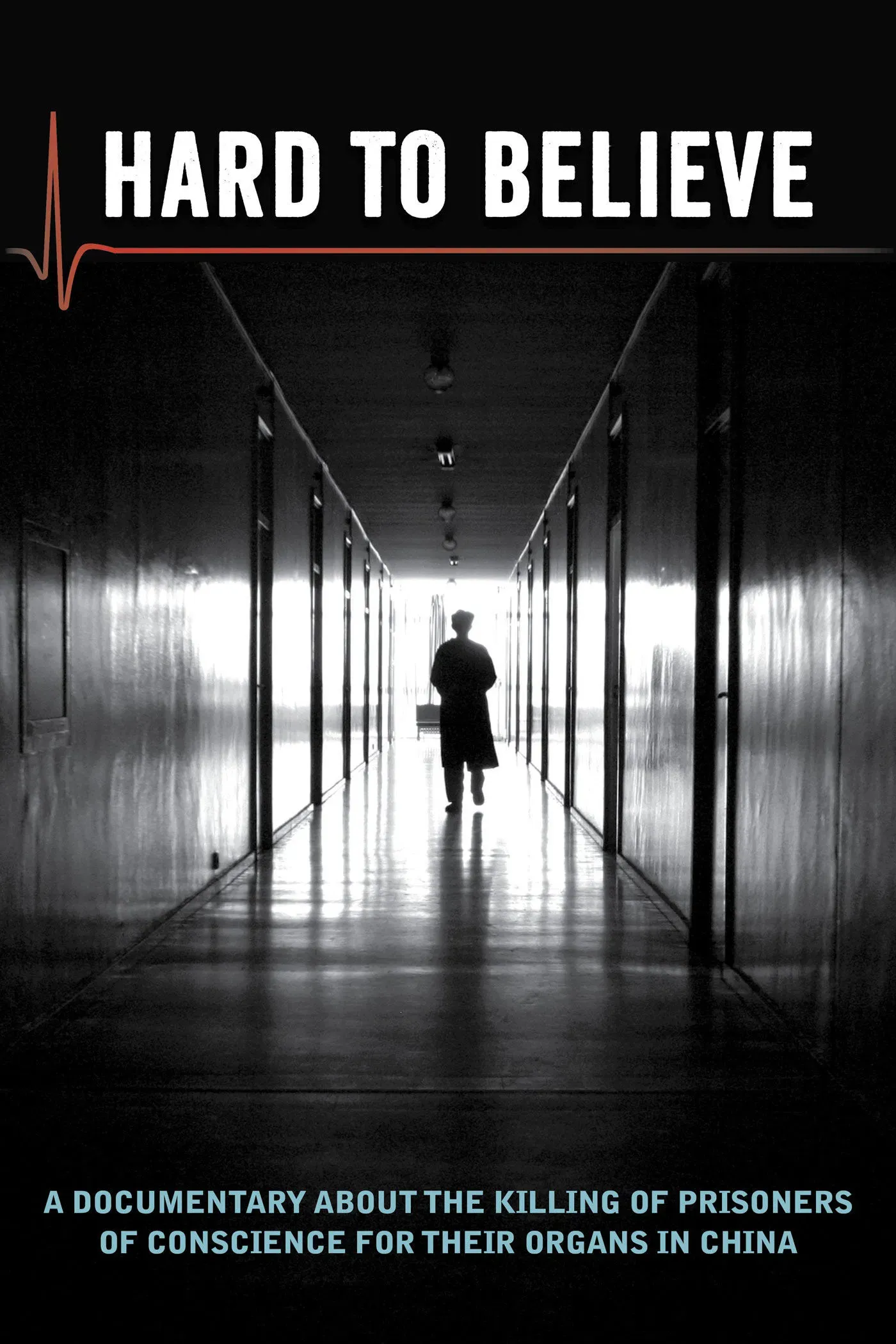 Poster of the movie Hard to Believe