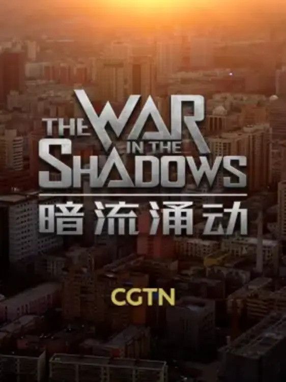 Poster of the movie The War in The Shadows-Challenges Of Fighting Terrorism in Xinjiang