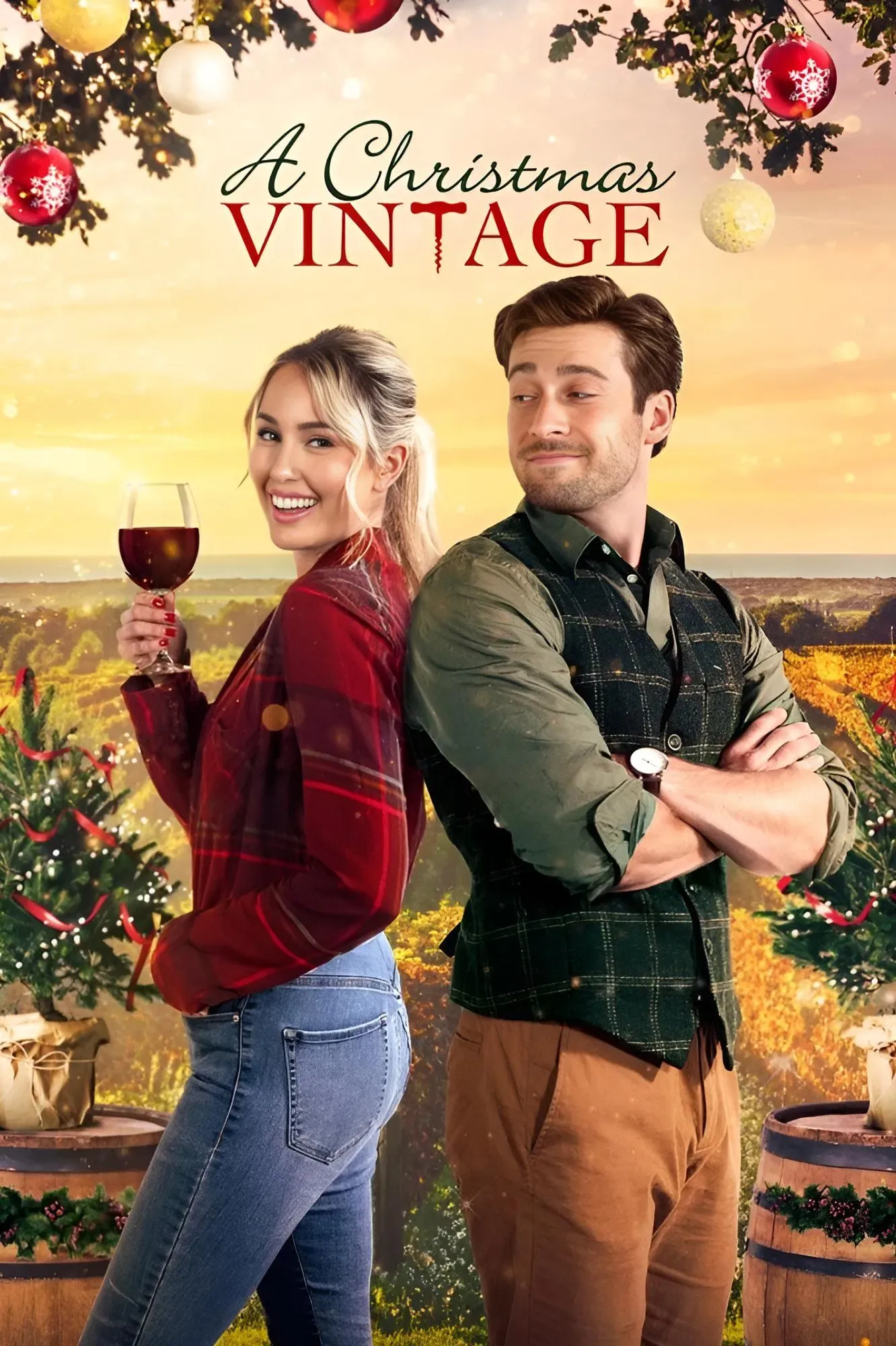 Poster of the movie A Christmas Vintage
