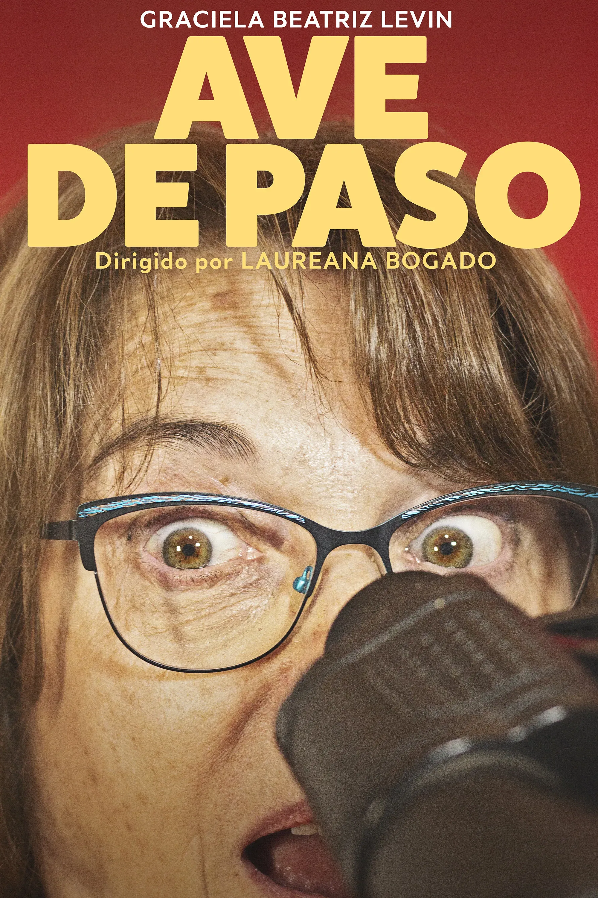 Poster of the movie Ave de paso