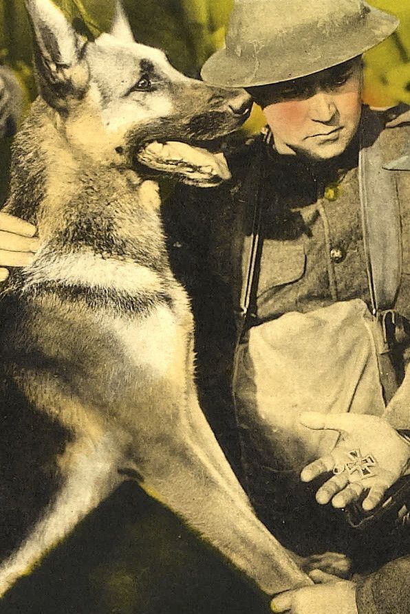 Poster of the movie His Master's Voice