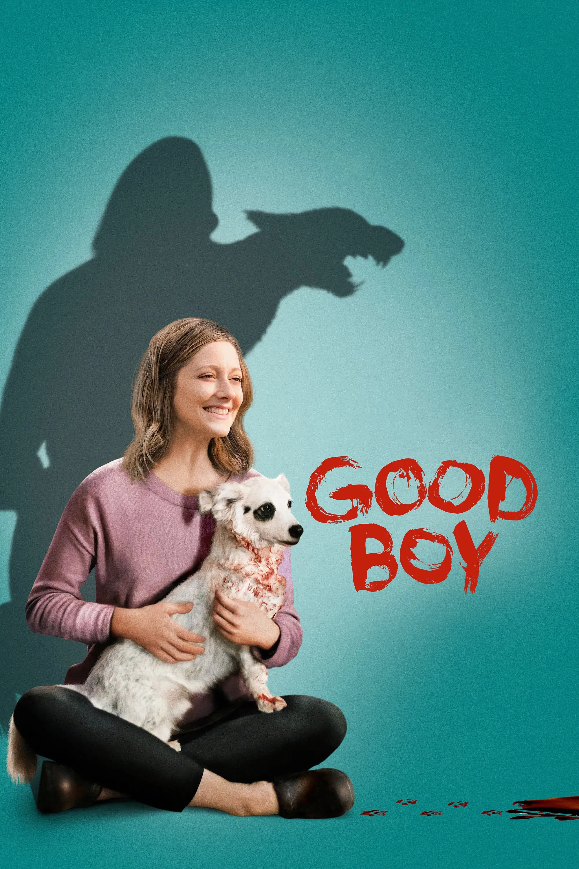 Poster of the movie Good Boy
