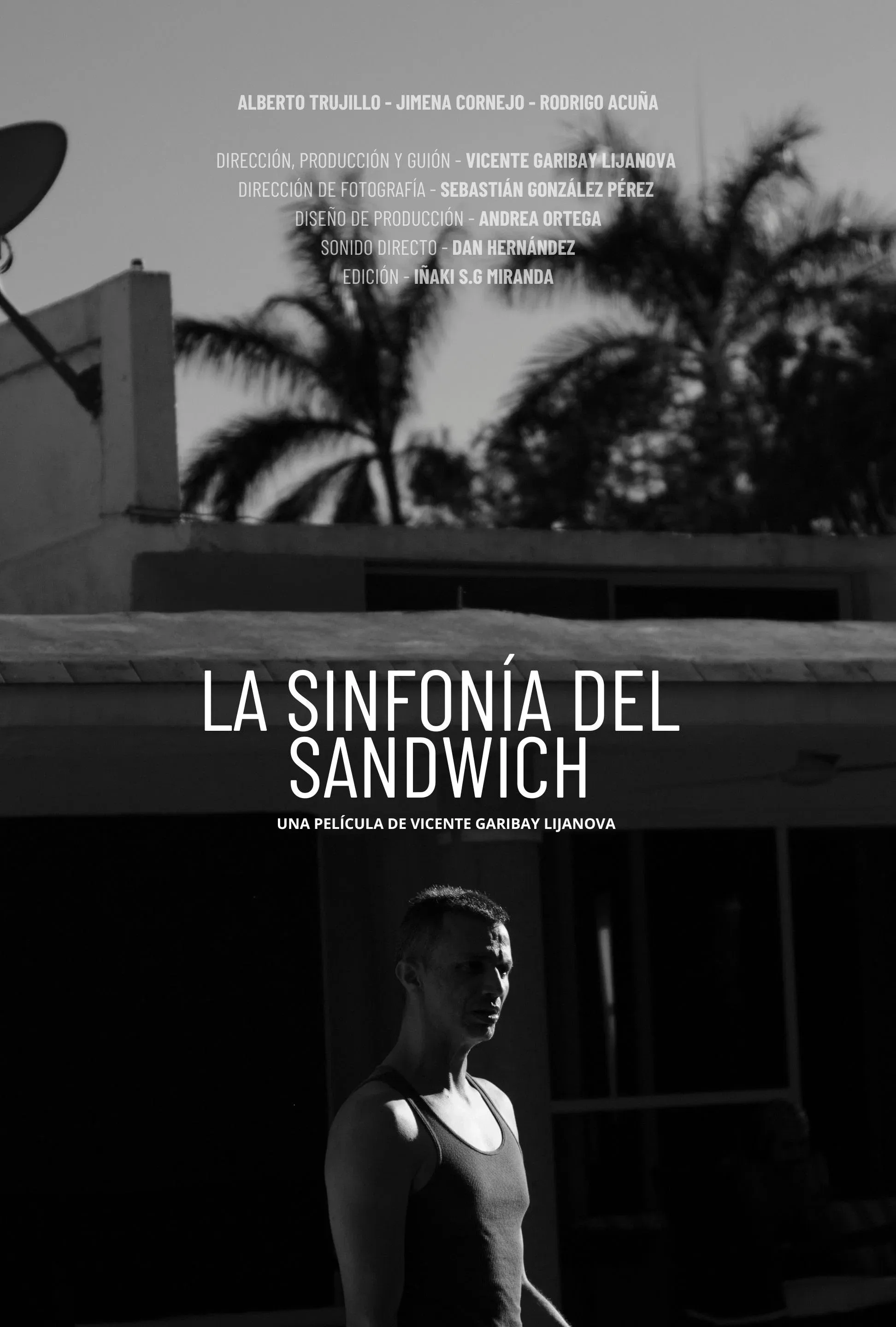 Poster for The Sandwich Symphony