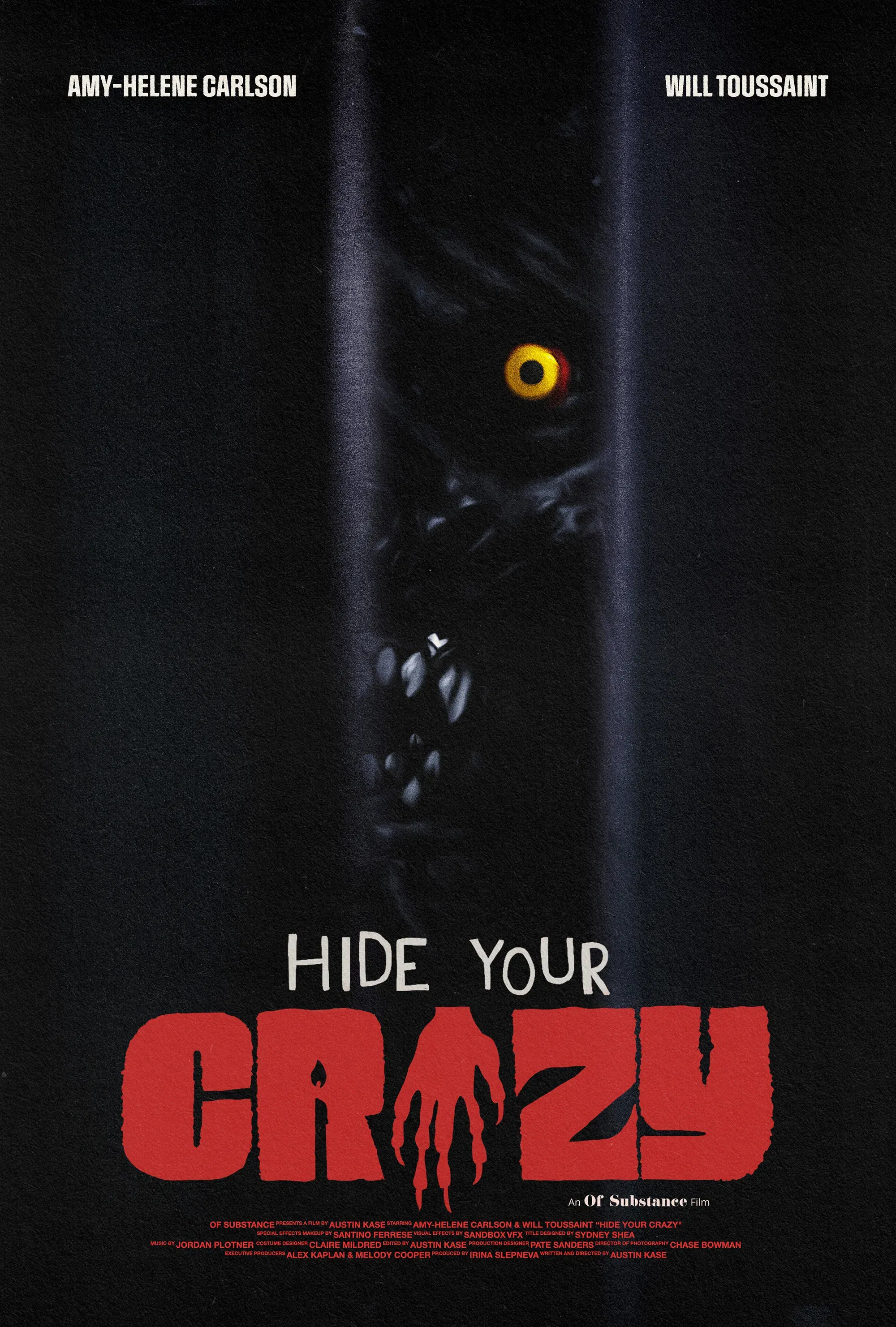 Poster of the movie Hide Your Crazy