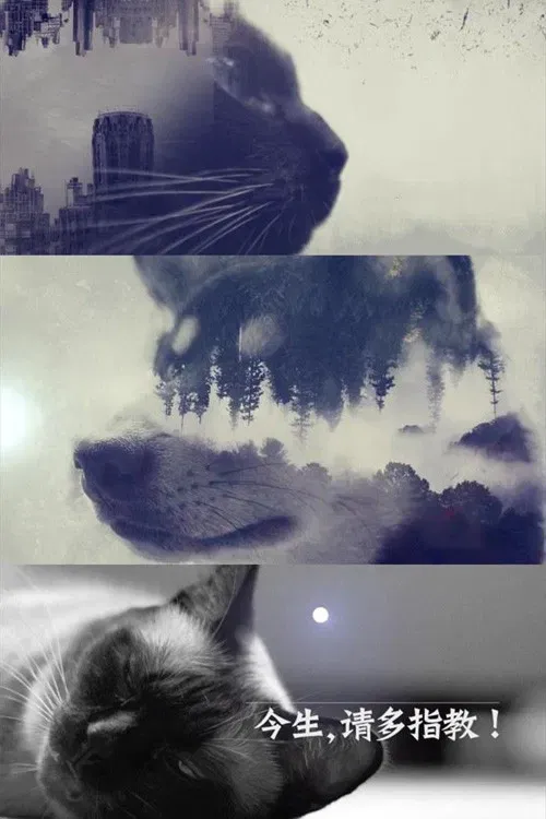 Poster of 今生，请多指教