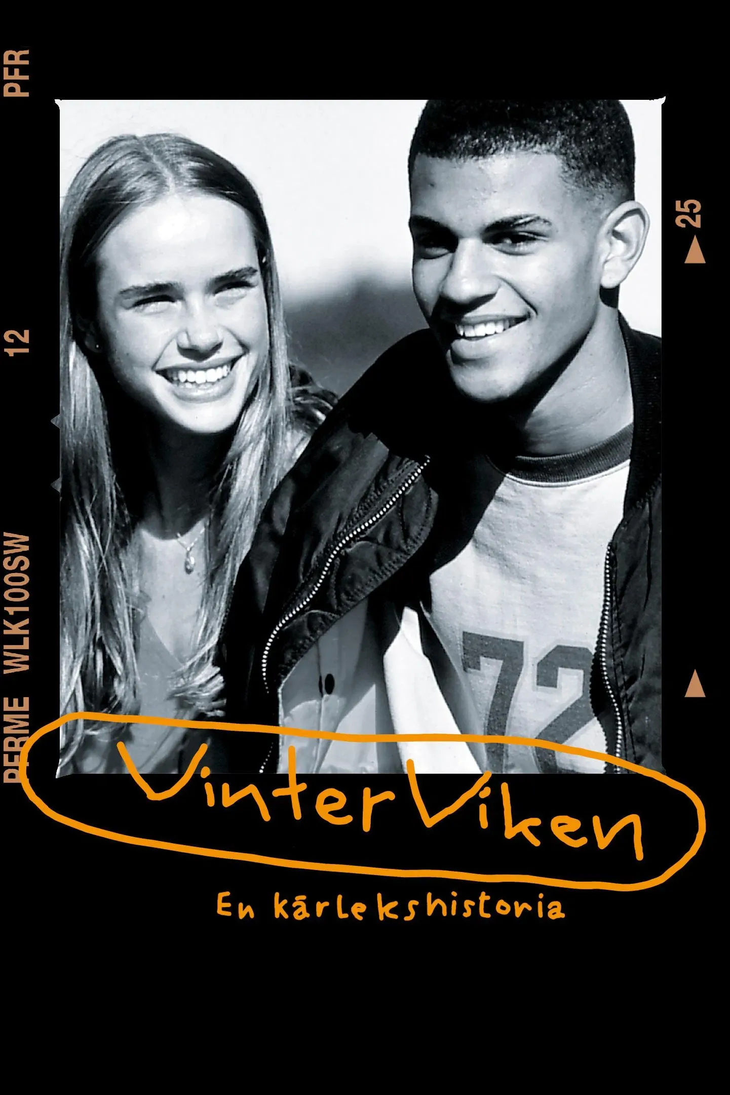 Poster of the movie Vinterviken