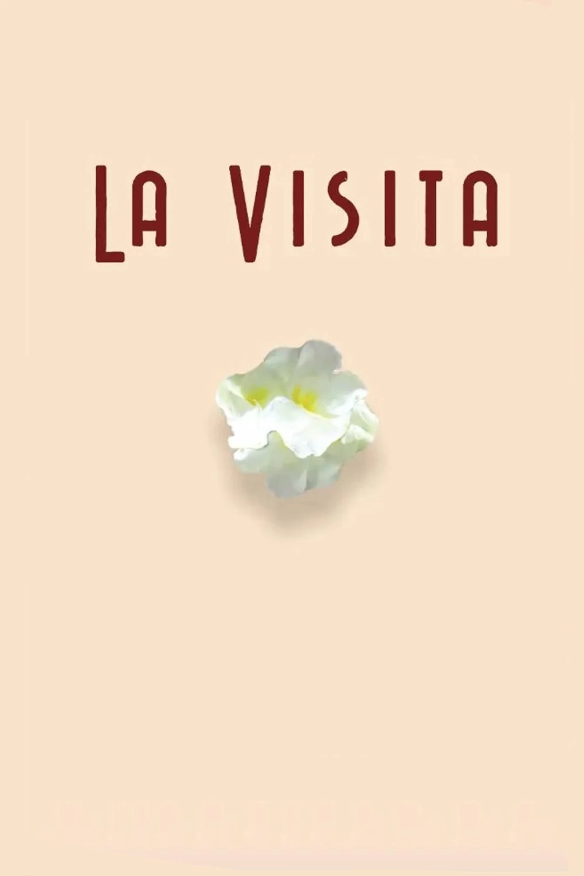 Poster for La visita