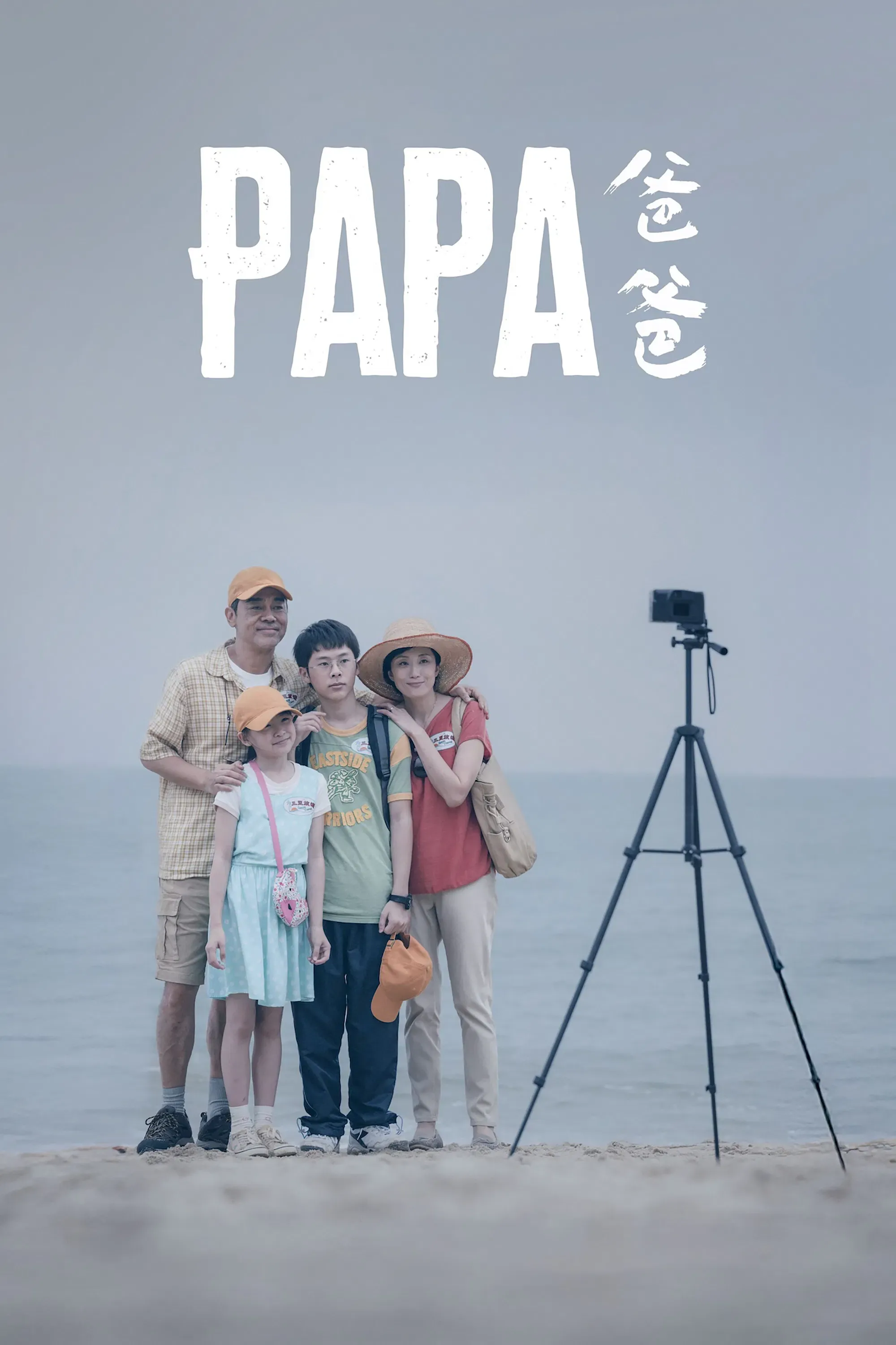 Poster of the movie Papa