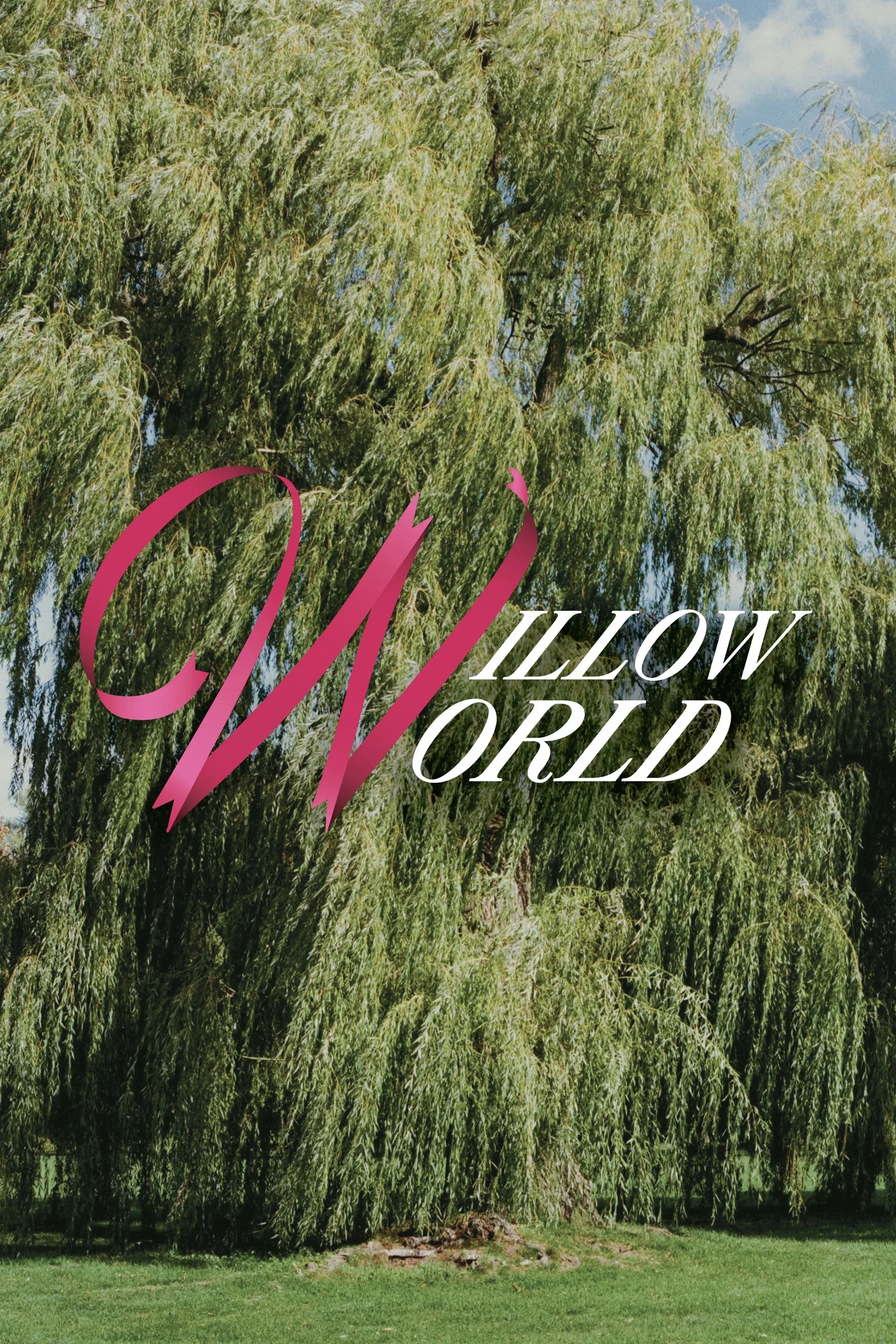 Poster for Willow World