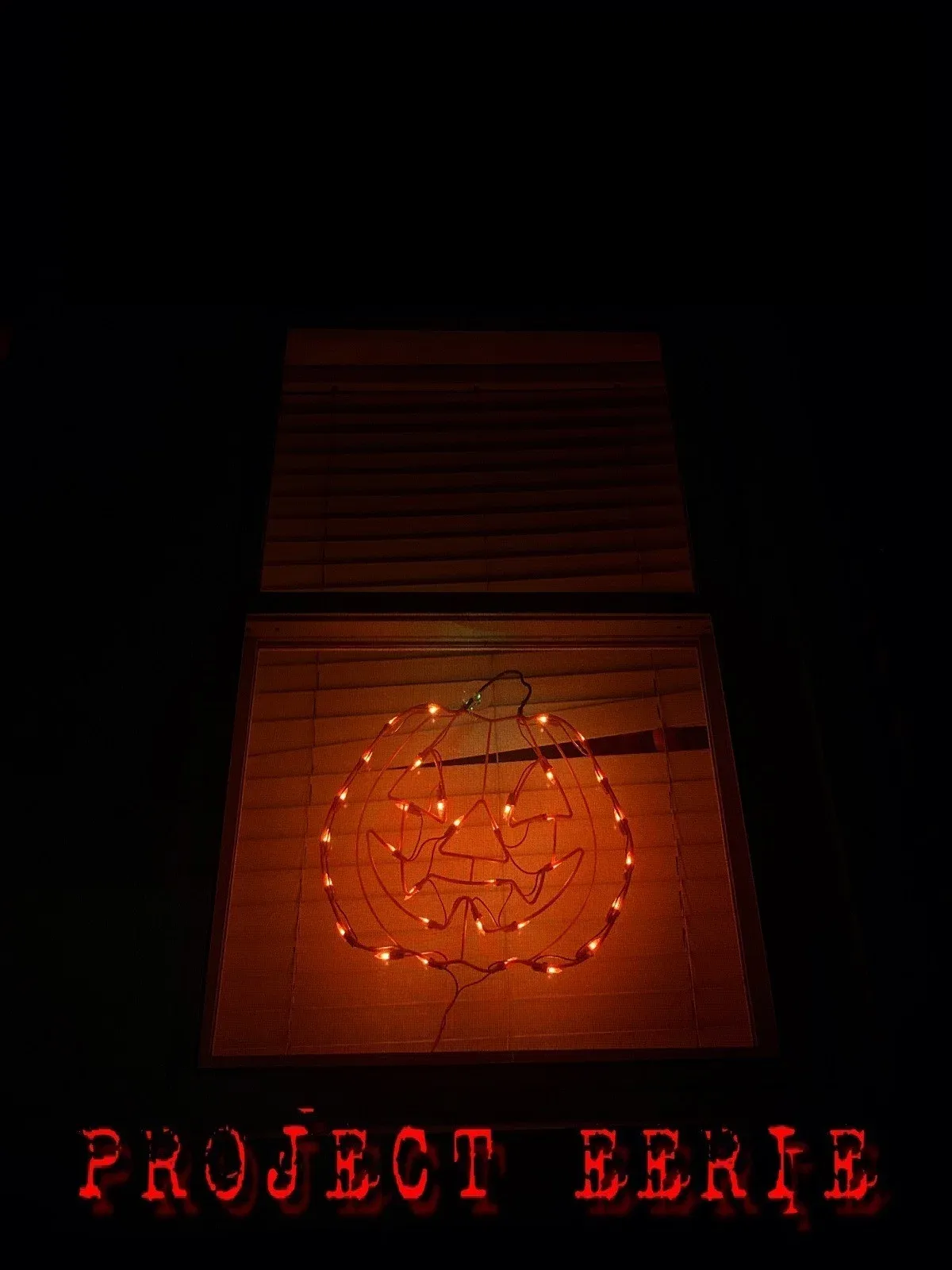 Poster of the movie Project Eerie