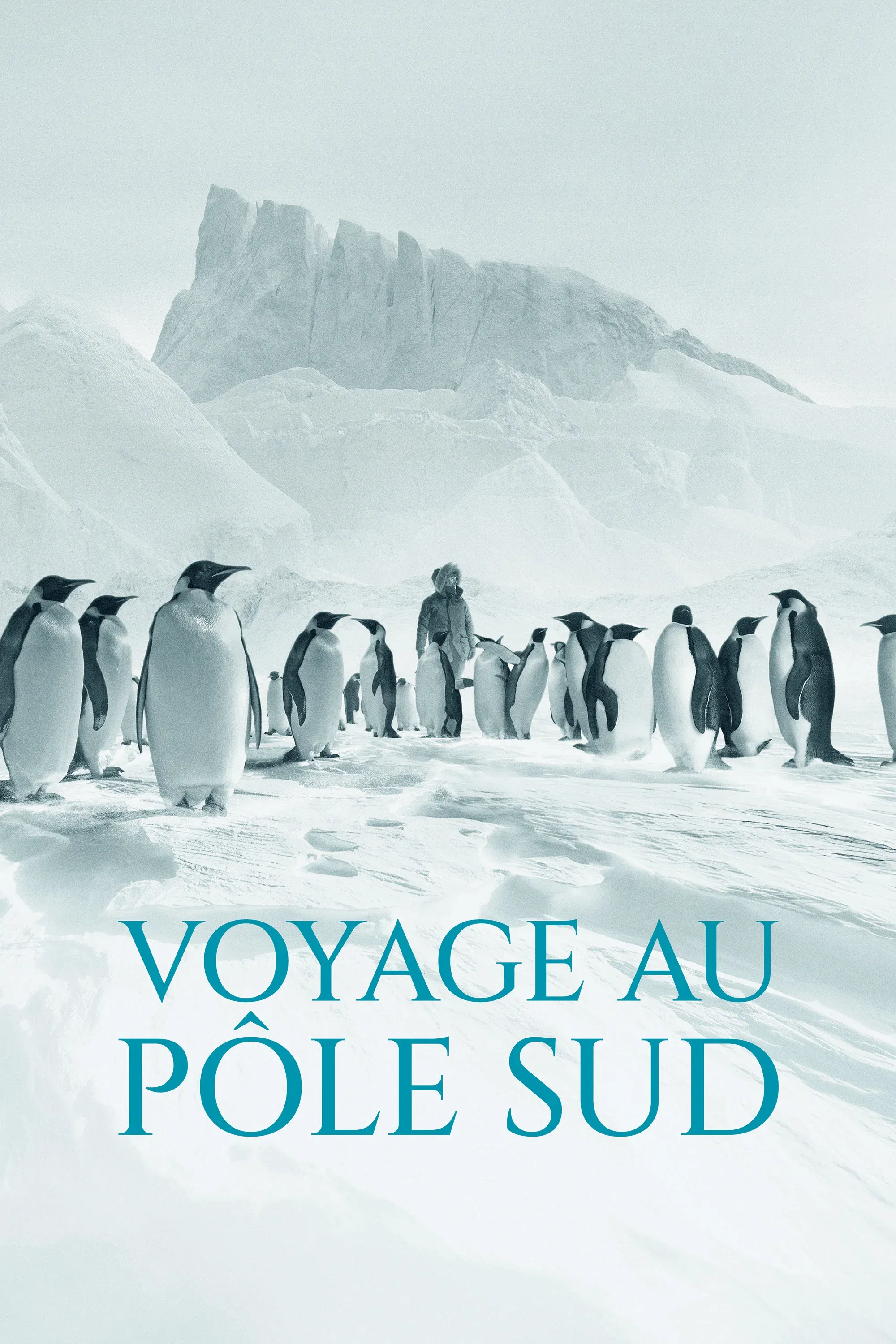 Poster for Antarctica Calling
