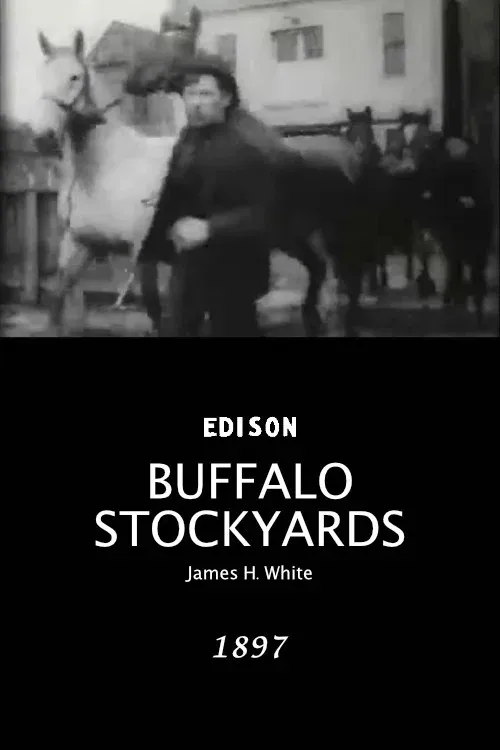 Poster for Buffalo Stockyards