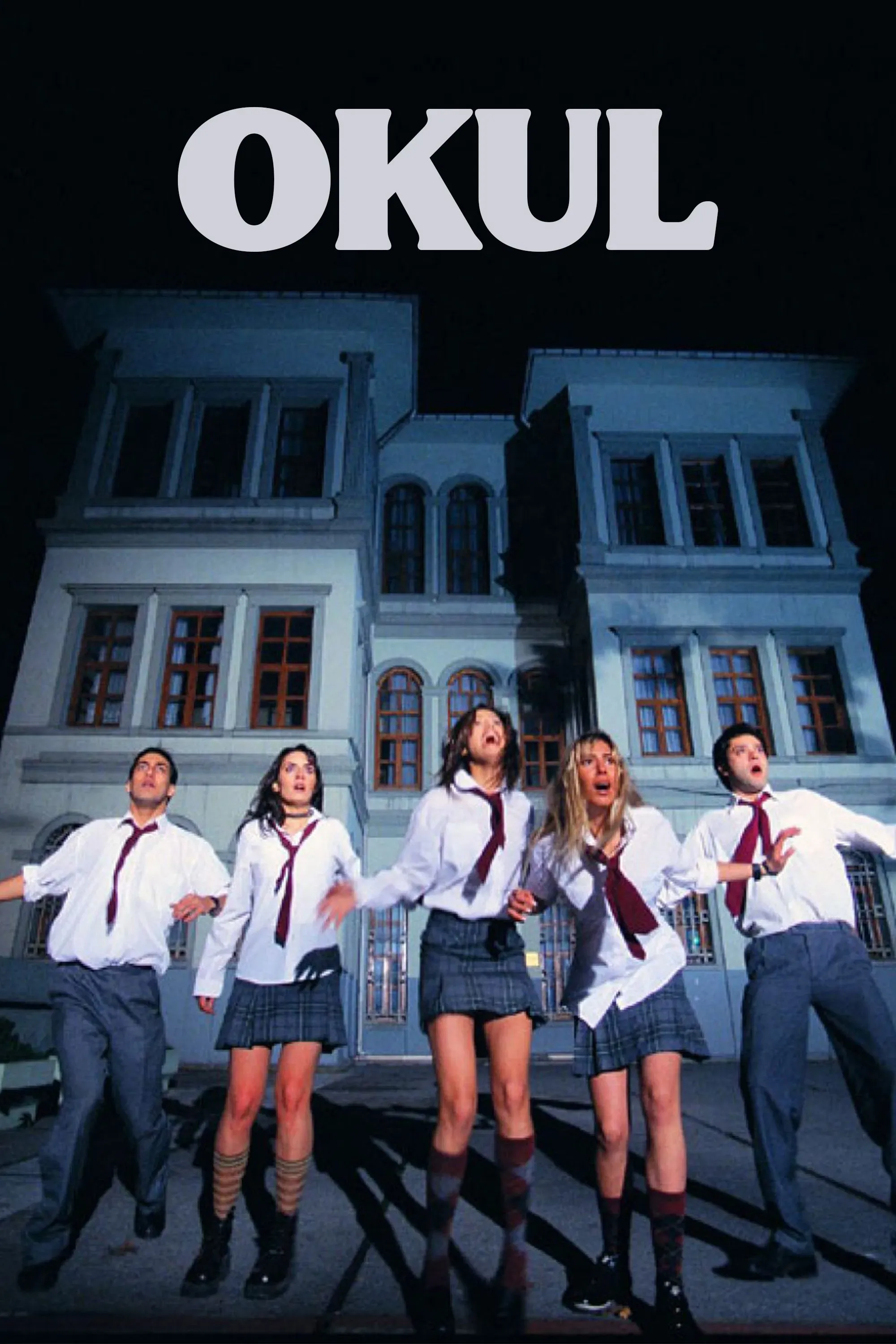 Poster of the movie Okul