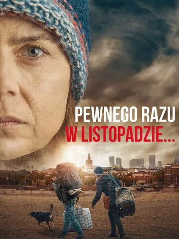 Poster of the movie Once Upon a Time in November