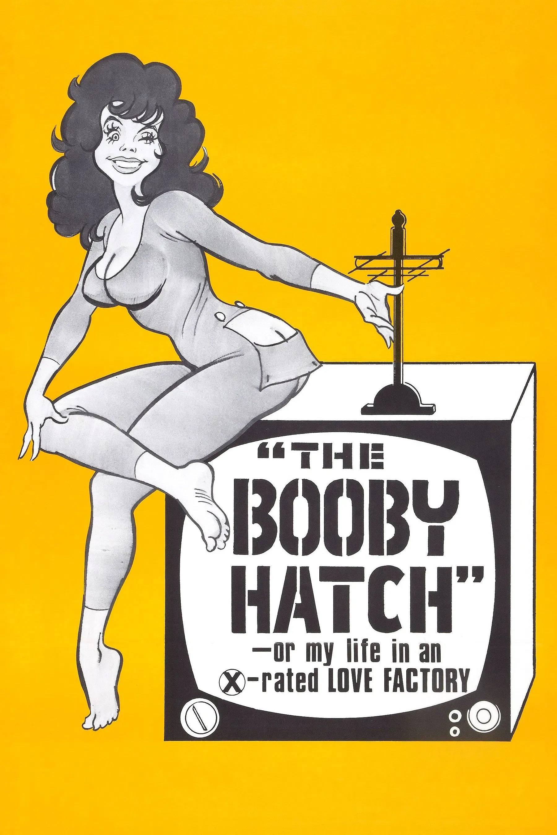 Poster of the movie The Booby Hatch