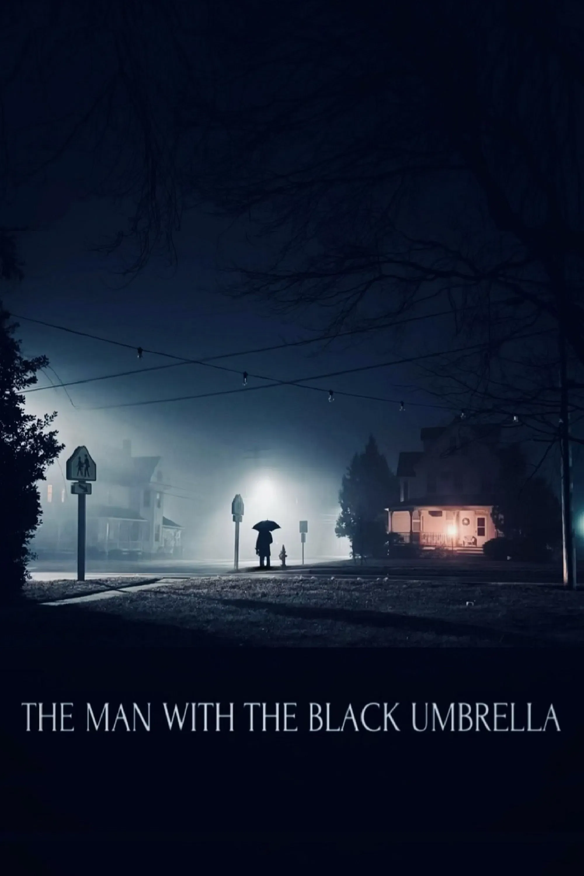 Poster of the movie The Man with the Black Umbrella