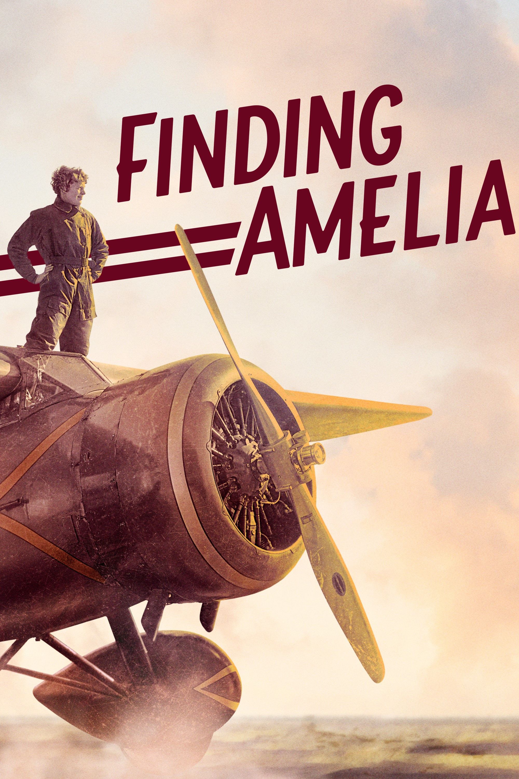 Poster for Finding Amelia