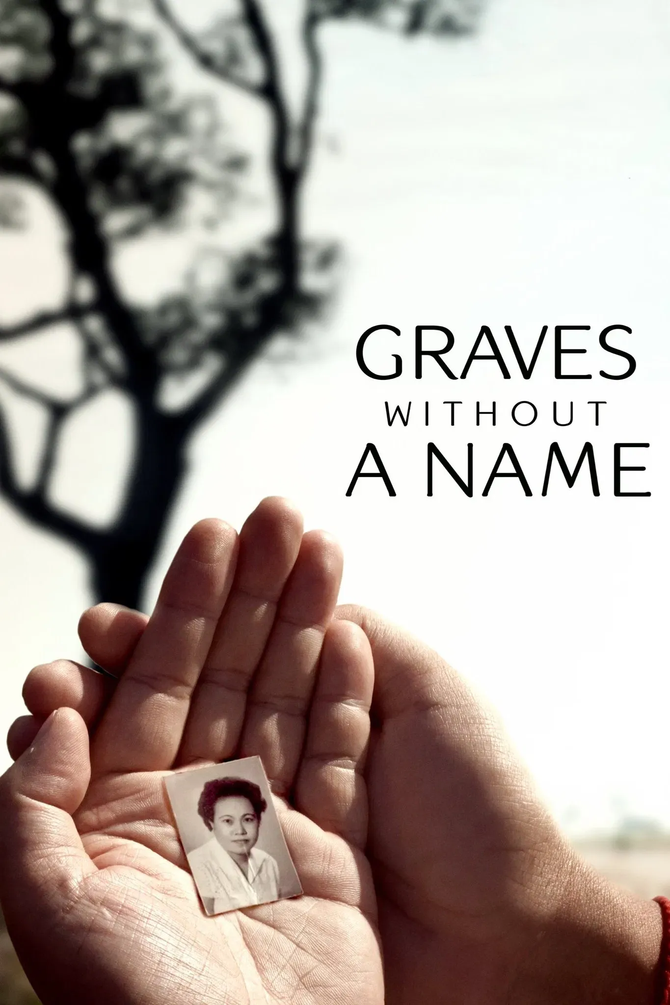 Poster of the movie Graves Without a Name