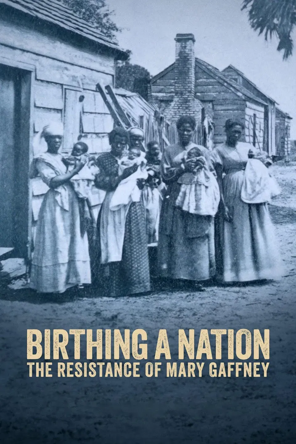 Poster of the movie Birthing a Nation: The Resistance of Mary Gaffney
