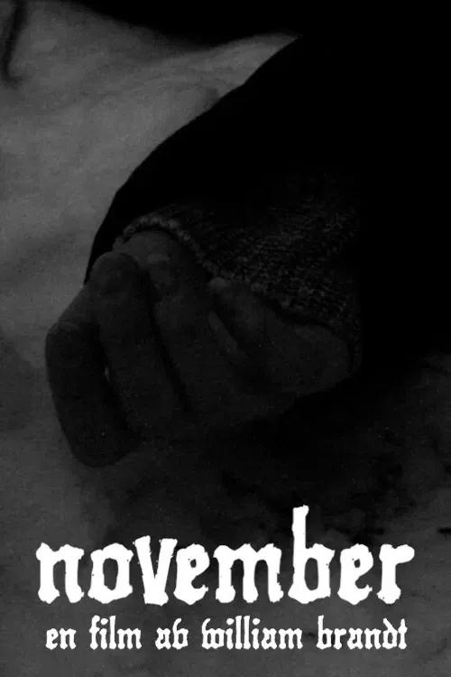 Poster of the movie November