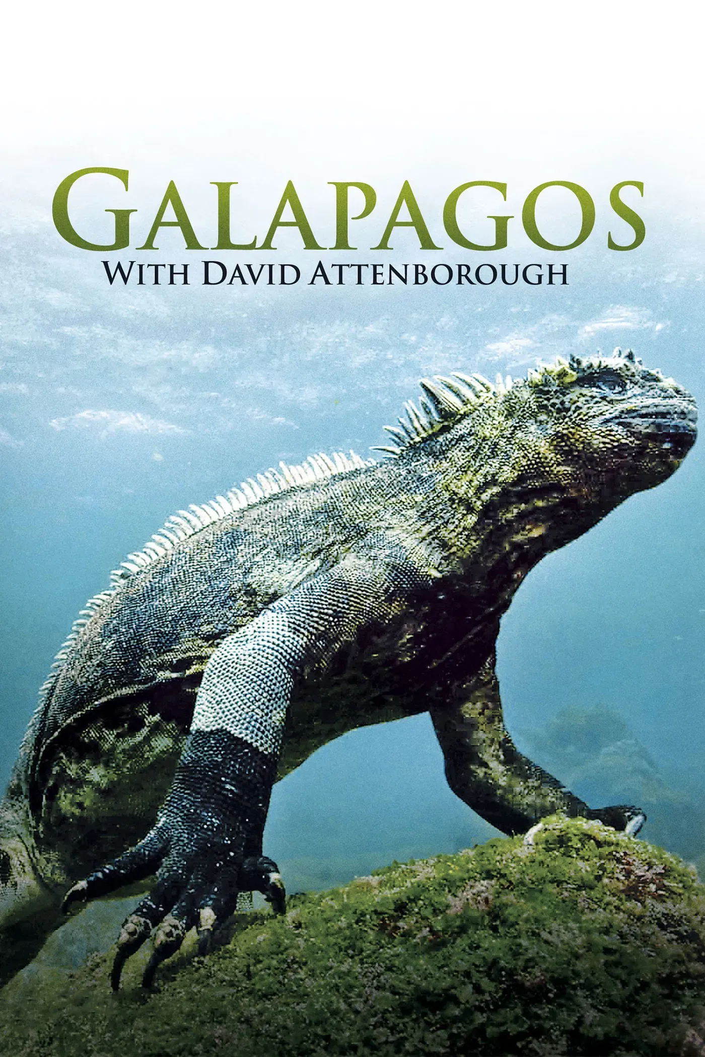 Poster of Galapagos 3D with David Attenborough