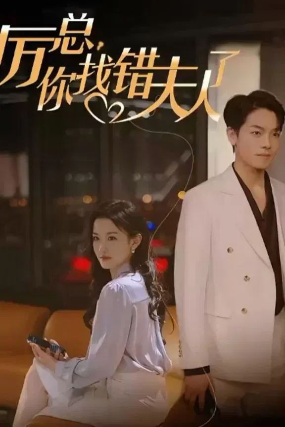 Poster of Mr. Li, You Have Found the Wrong Lady