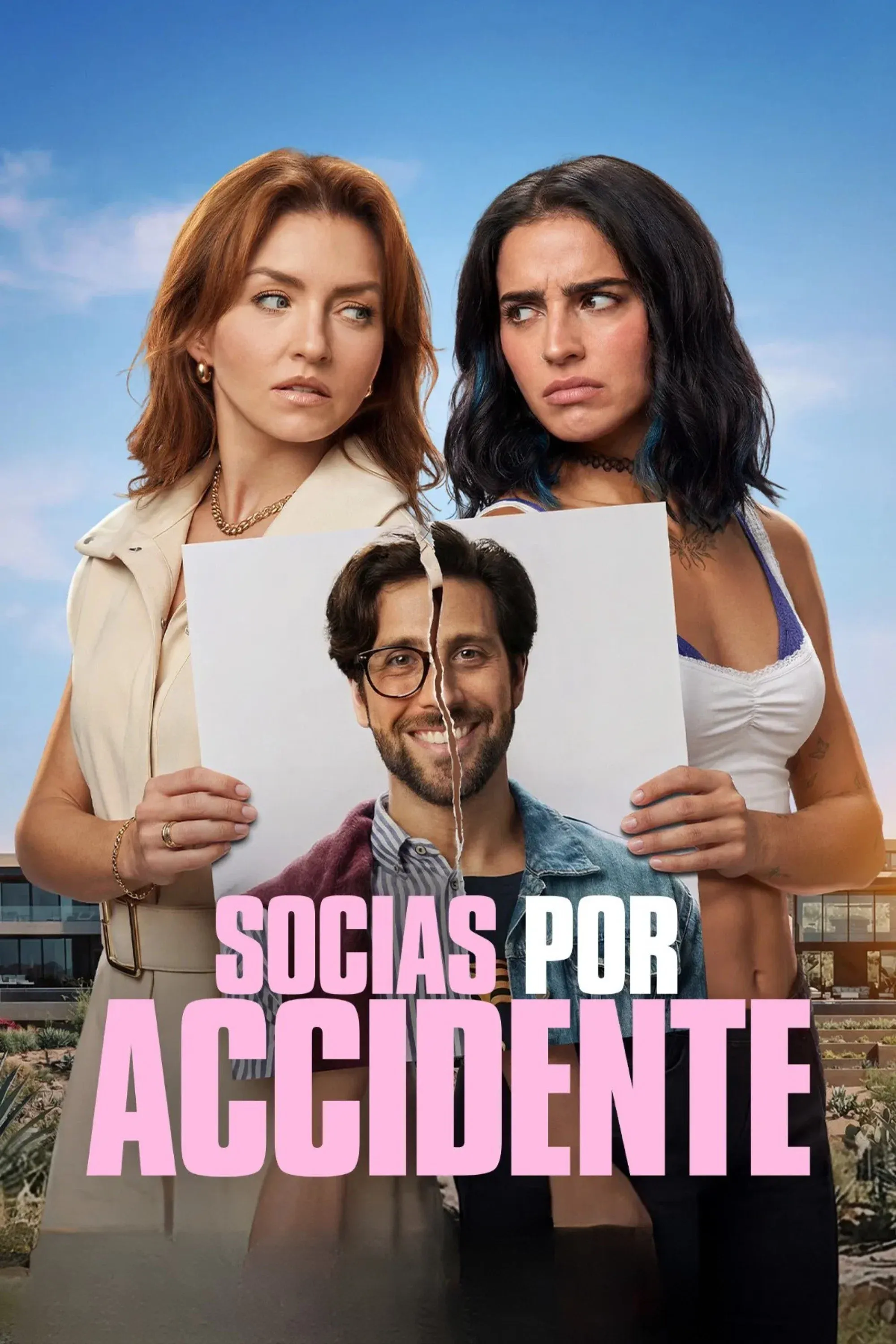 Poster of the movie Accidental Partners