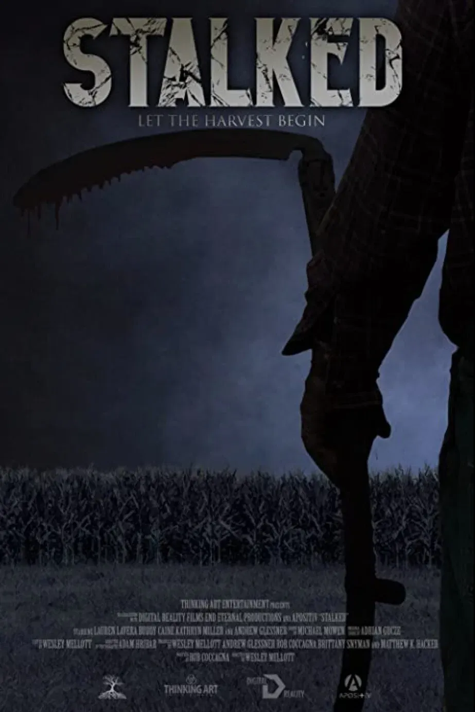 Poster of the movie Stalked